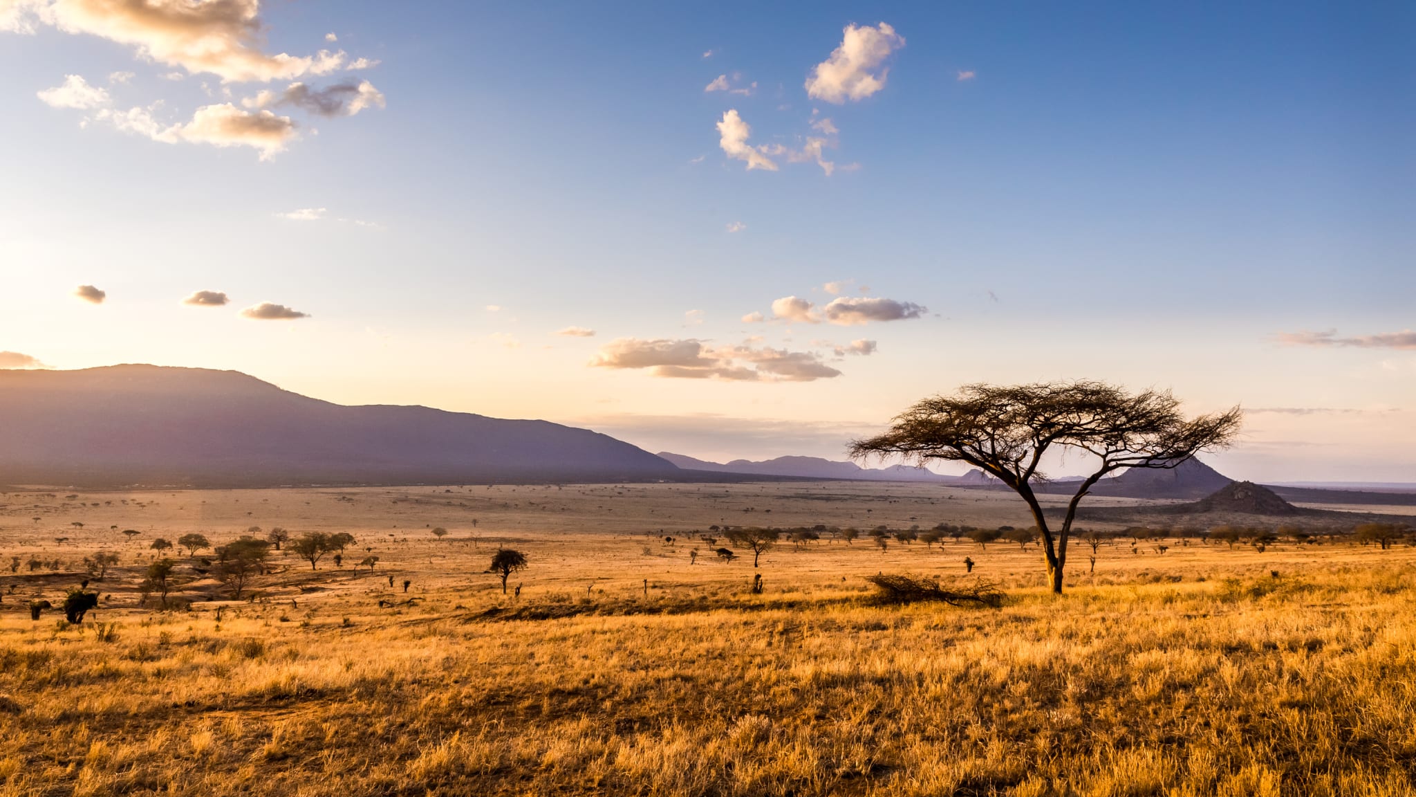 Tsavo East National Park, Kenia ©czekma13/iStock / Getty Images Plus via Getty Images