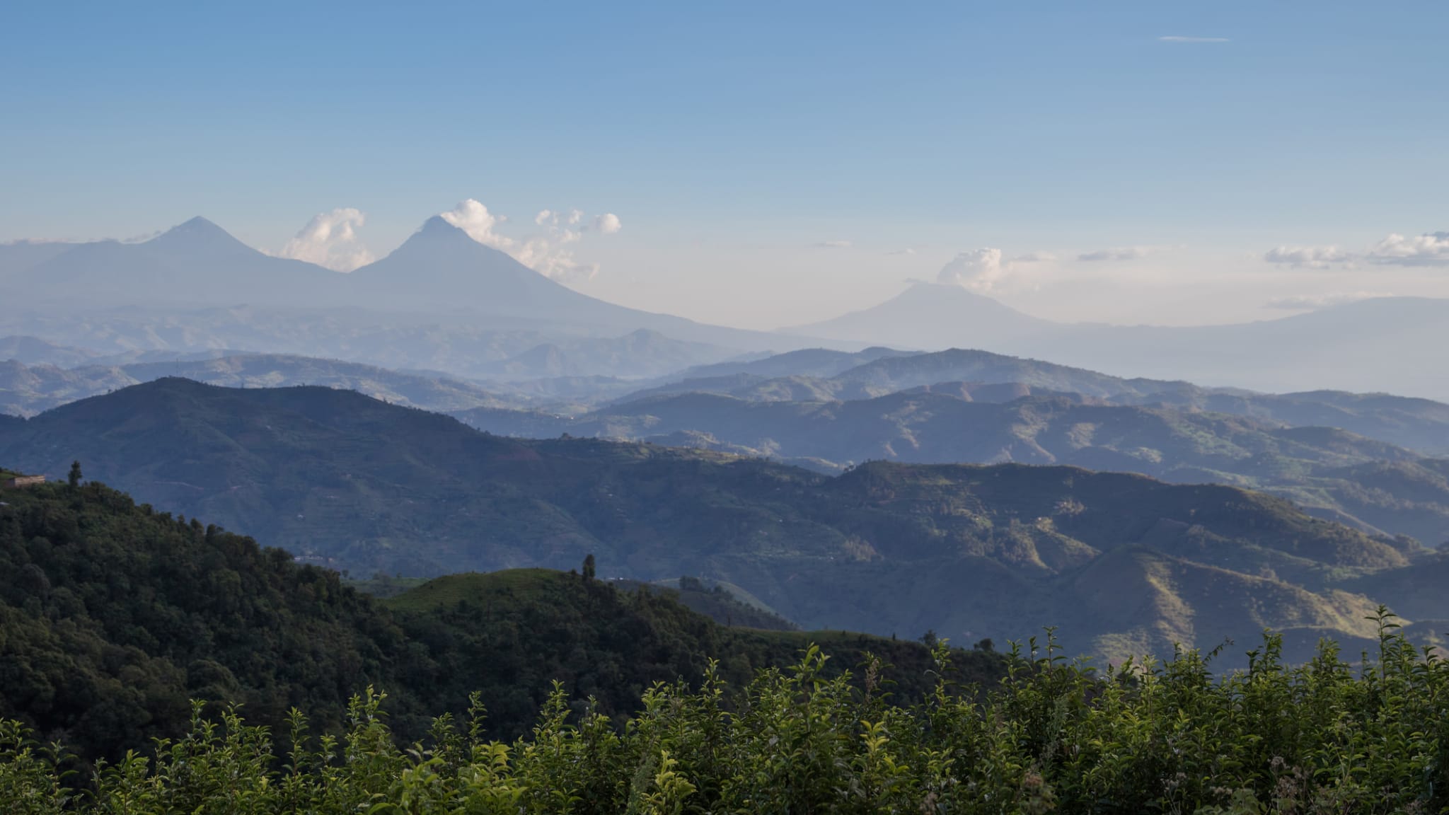 Bwindi Impenetrable National Park, Uganda ©Pedro Ferreira do Amaral/iStock / Getty Images Plus via Getty Images