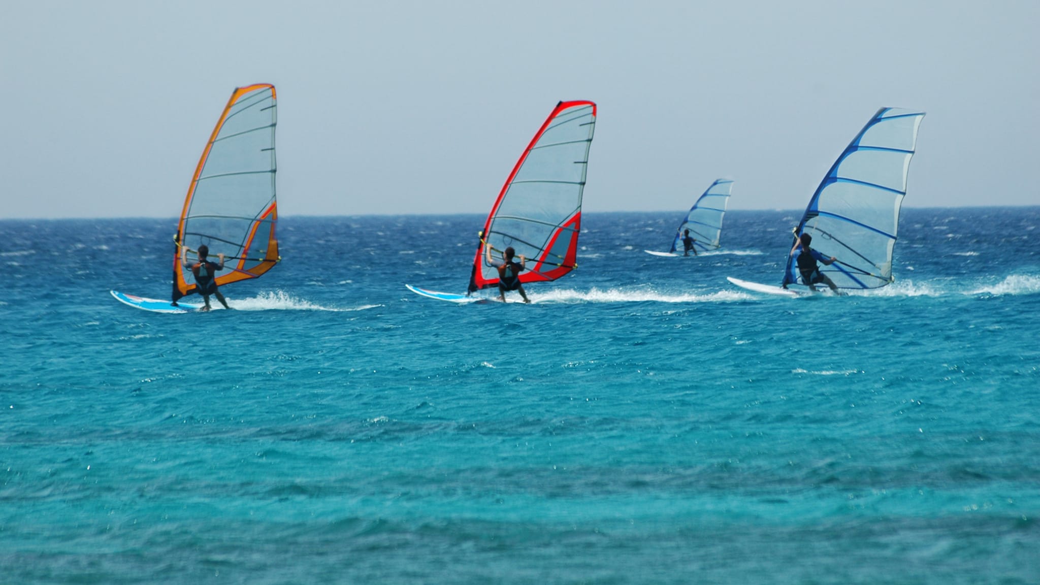 Vier Windsurfer fahren gemeinsam im Meer © iStock.com/binabina