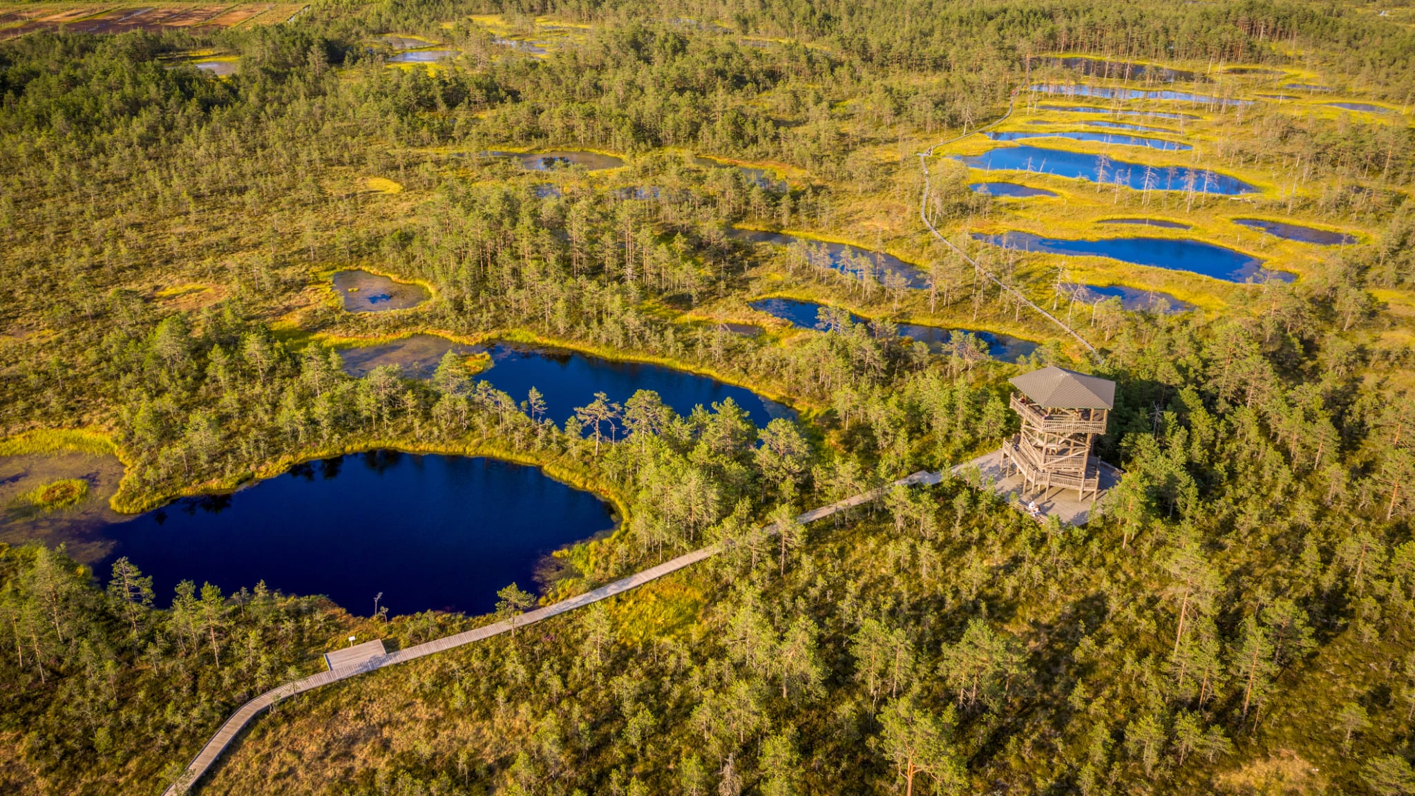 Lahemaa-Nationalpark in Estland ©Eloi_Omella/iStock / Getty Images Plus via Getty Images