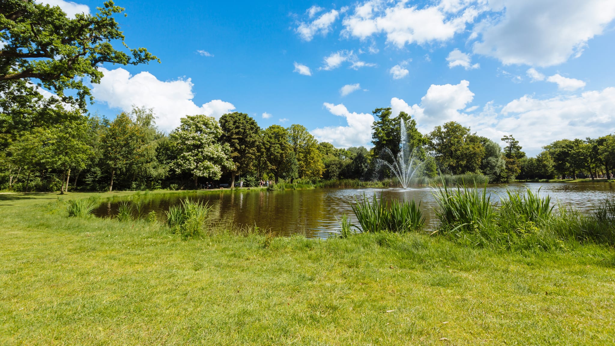 Vondelpark in Amsterdam ©Alexander Spatari/Moment via Getty Images