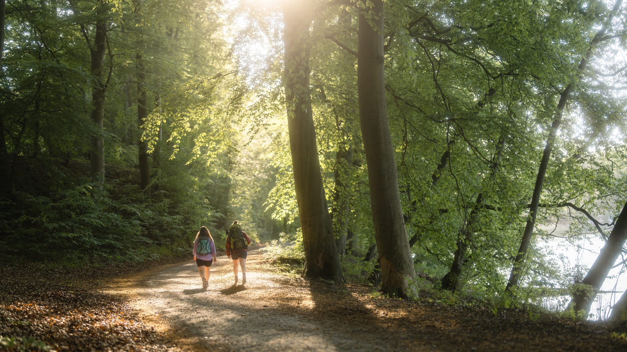 Wandern am Wolgastsee, Usedom, Mecklenburg-Vorpommern