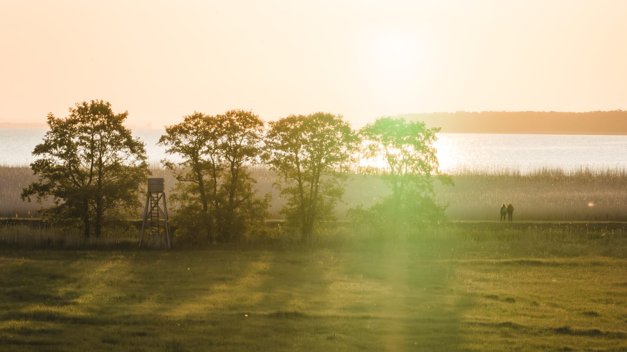 Wandern bei Sonnenaufgang bei Vogelsang-Warsin, Mecklenburg-Vorpommern