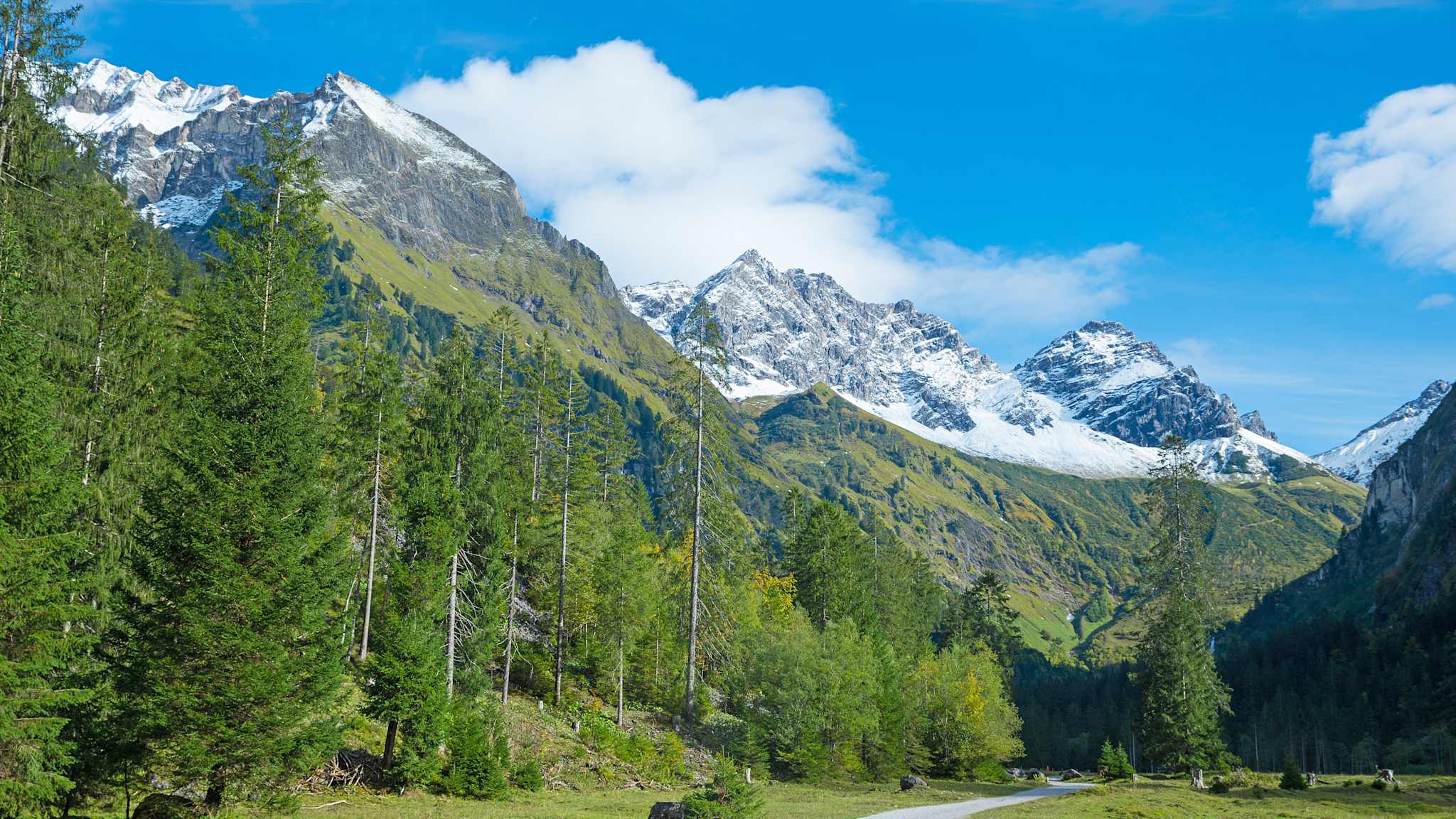 Wanderweg im Oytal mit Bäumen und schneebedeckten Bergen im Hintergrund
