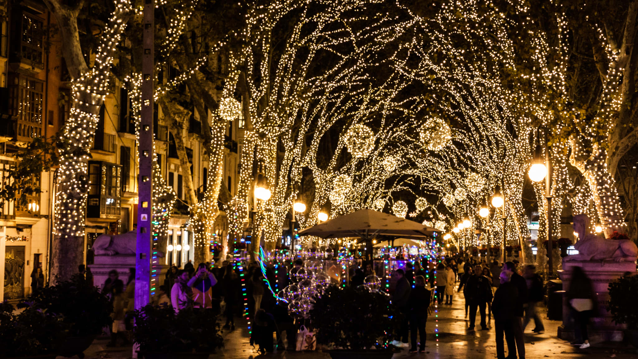 Weihnachtsbeleuchtung am Passeig del Born, Mallorca © iStock.com/Jeanne Emmel