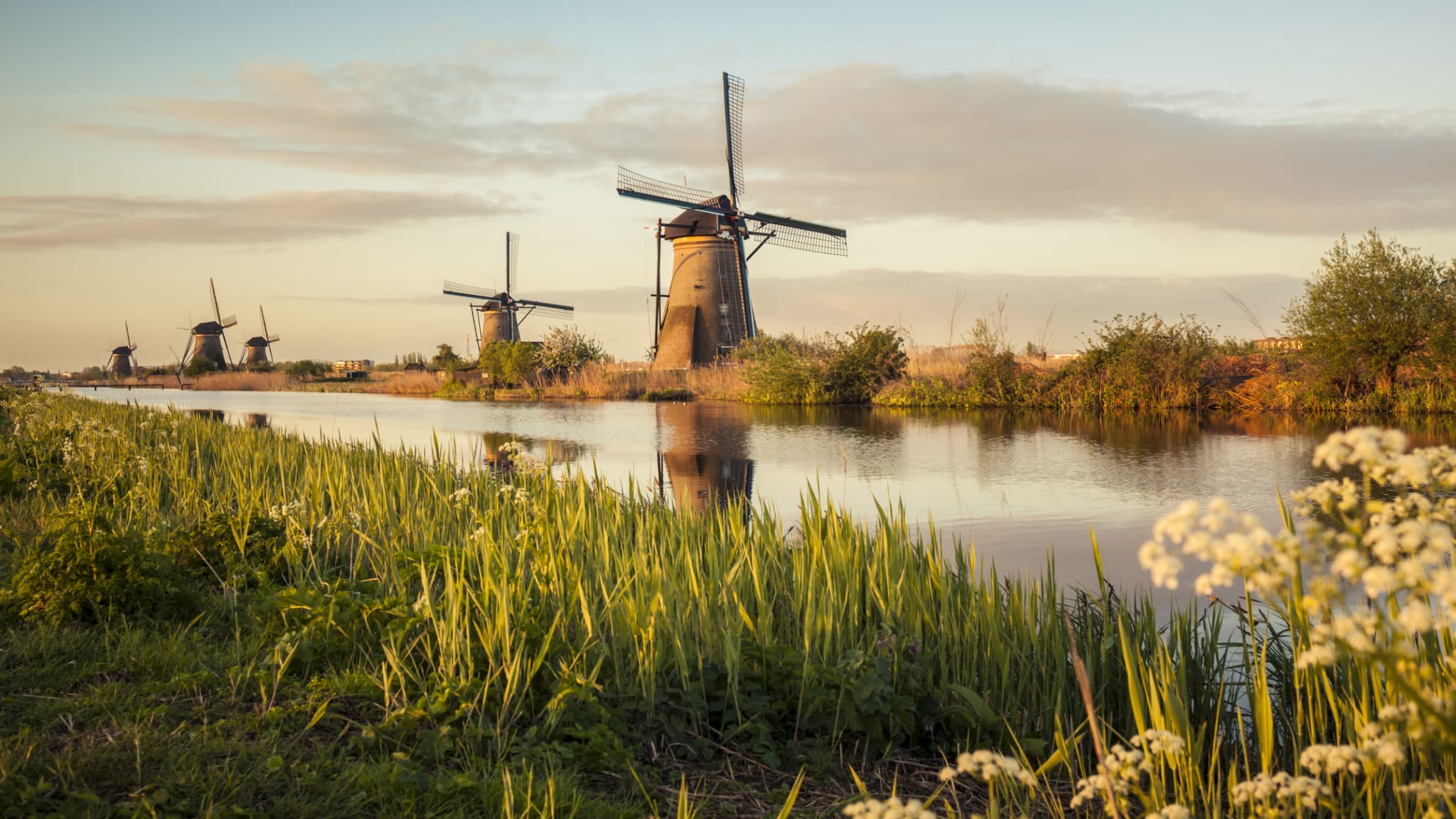 Windmühlen an einem Fluss in Kinderdijk, Niederlande © iStock.com/Brzozowska