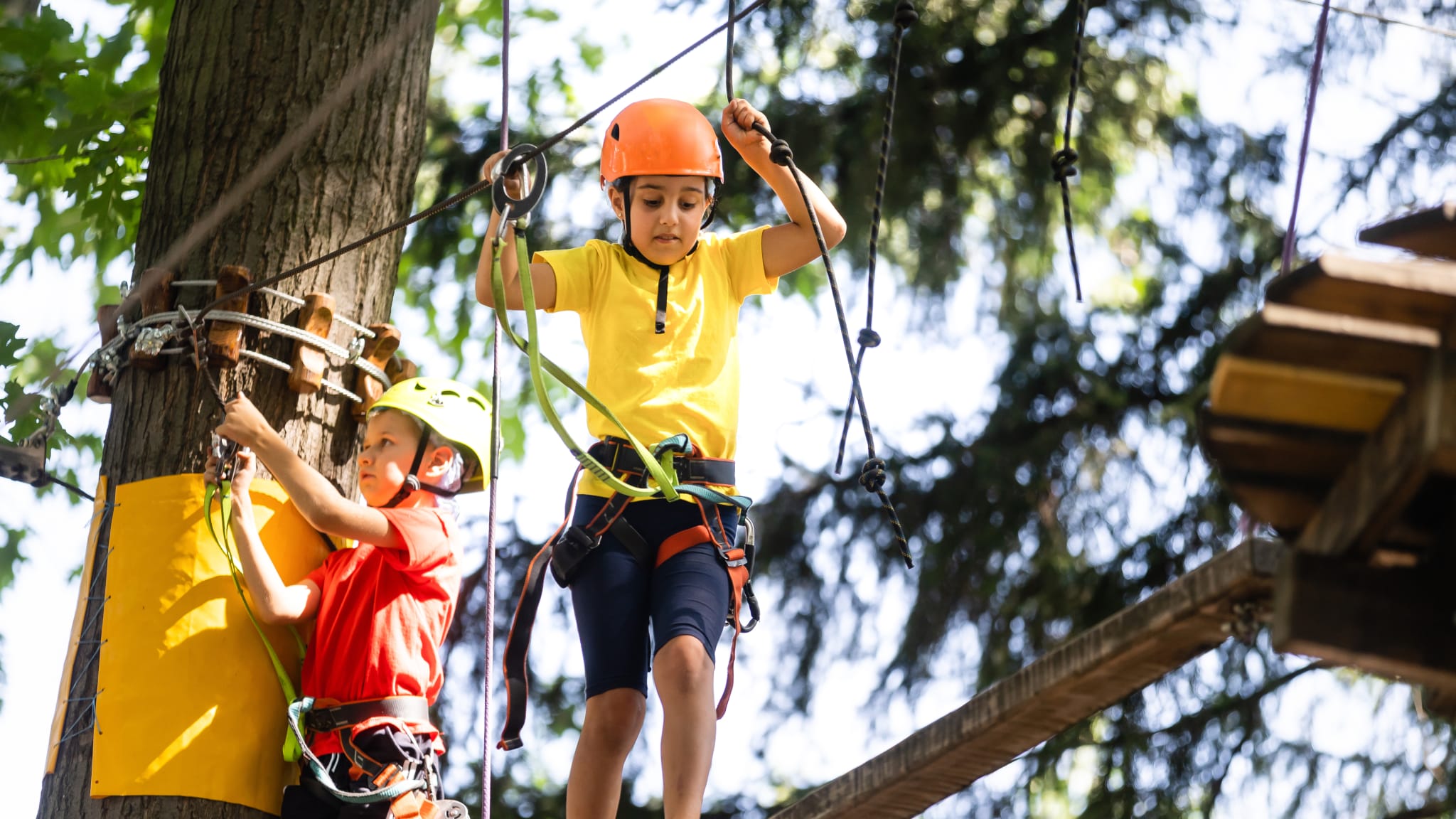 Im Kletterwald ist Mut gefragt © Angelov - stock.adobe.com