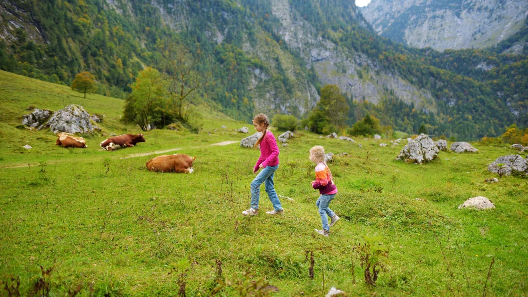 Zwei Schwestern auf Wanderwegen rund um den malerischen Königssee mit Kühen © iStock.com/MNStudio