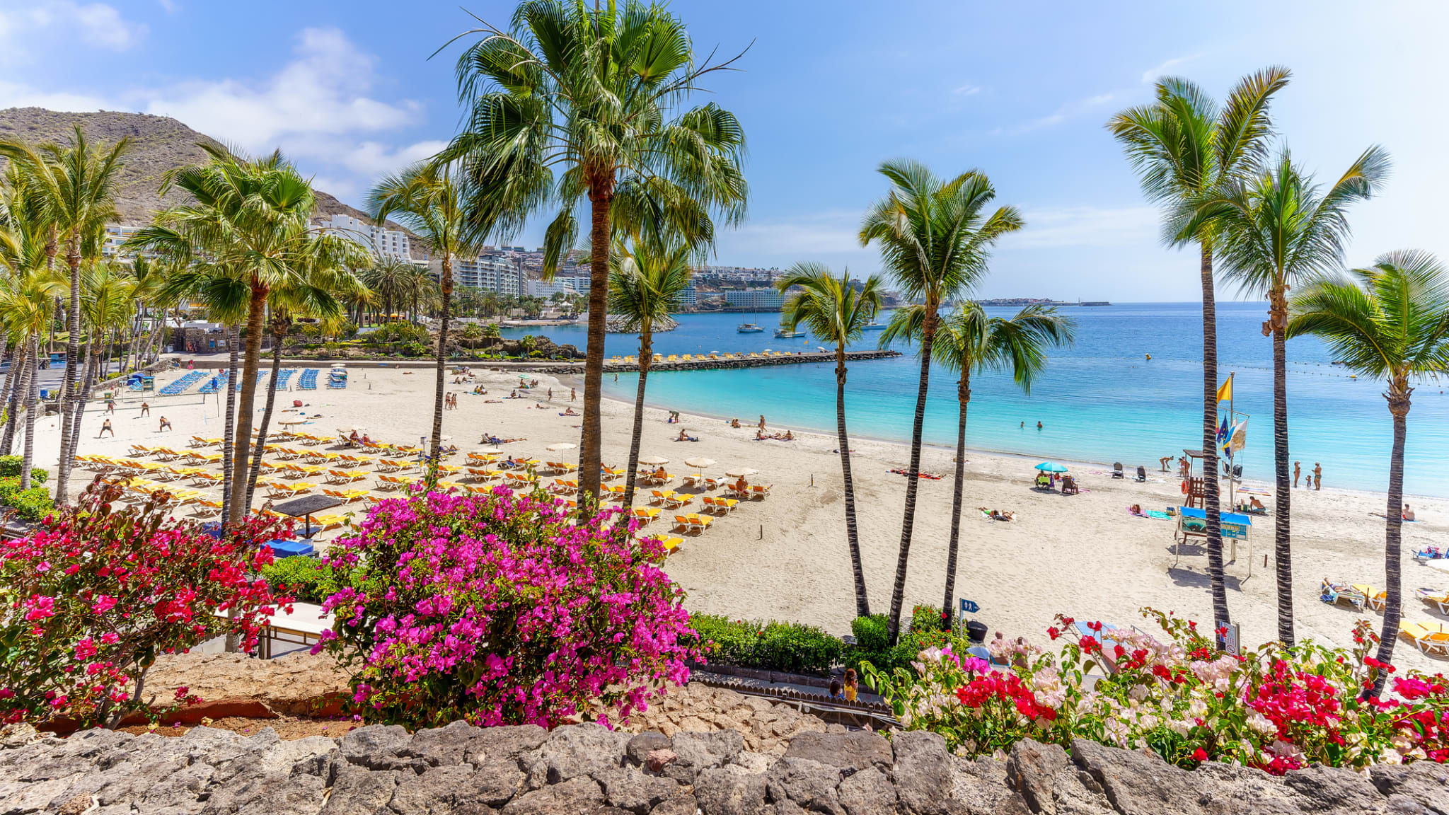 Blühende Pflanzen und Liegen für UrlauberInnen am Anfi Strand auf Gran Canaria