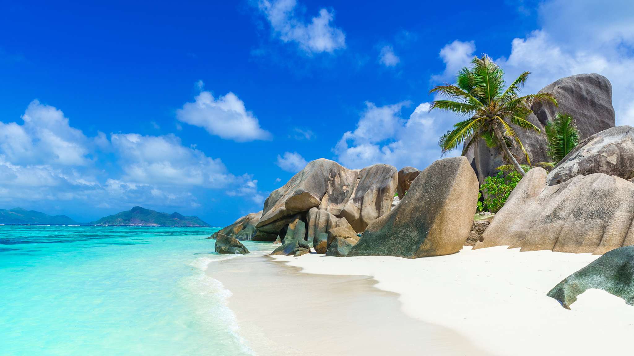 Ein Strand mit großen Felsen und einer Palme.