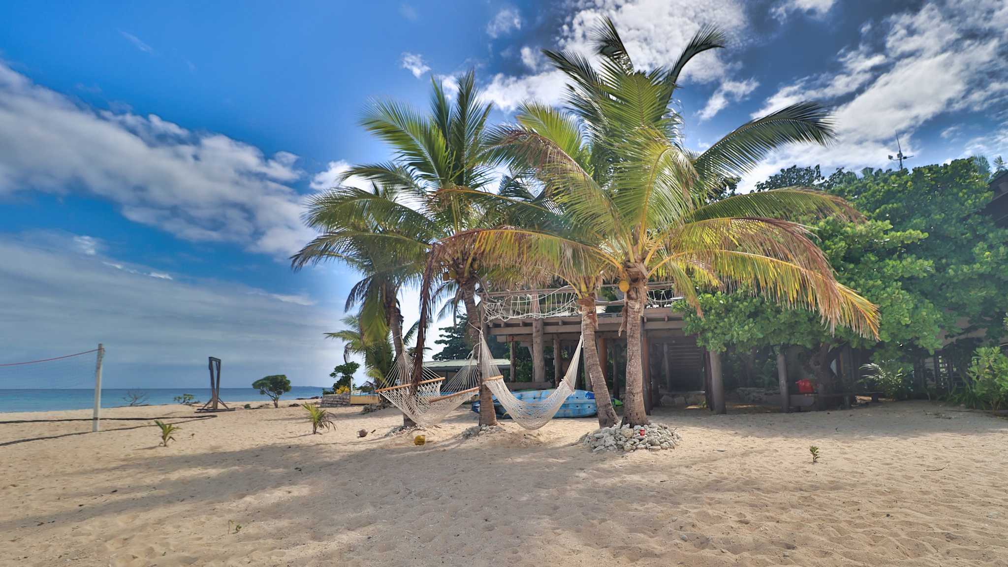 Hängematten zwischen Palmen