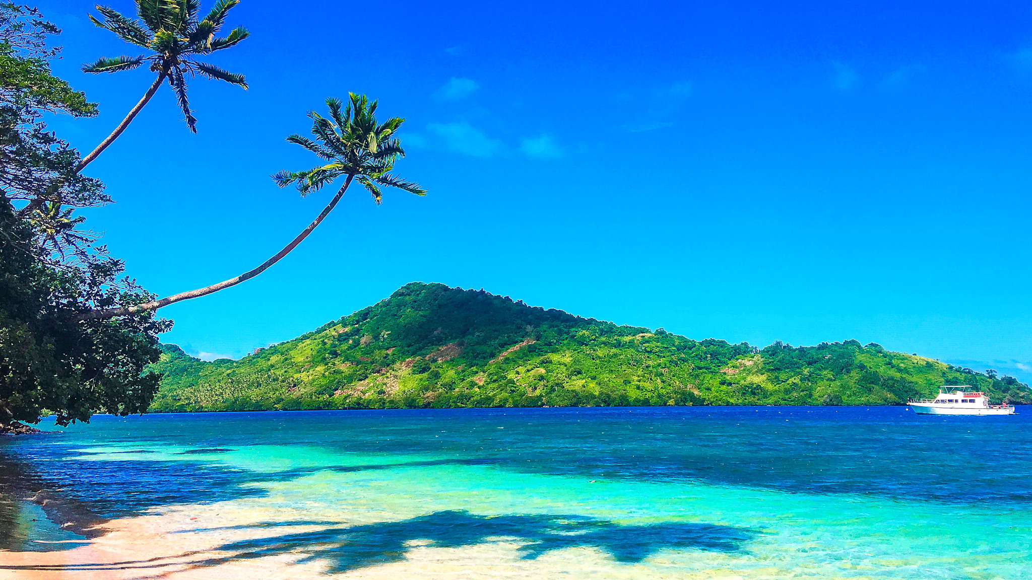 Ein Strand mit Palmen mit einem grünen Hügel im Hintergrund