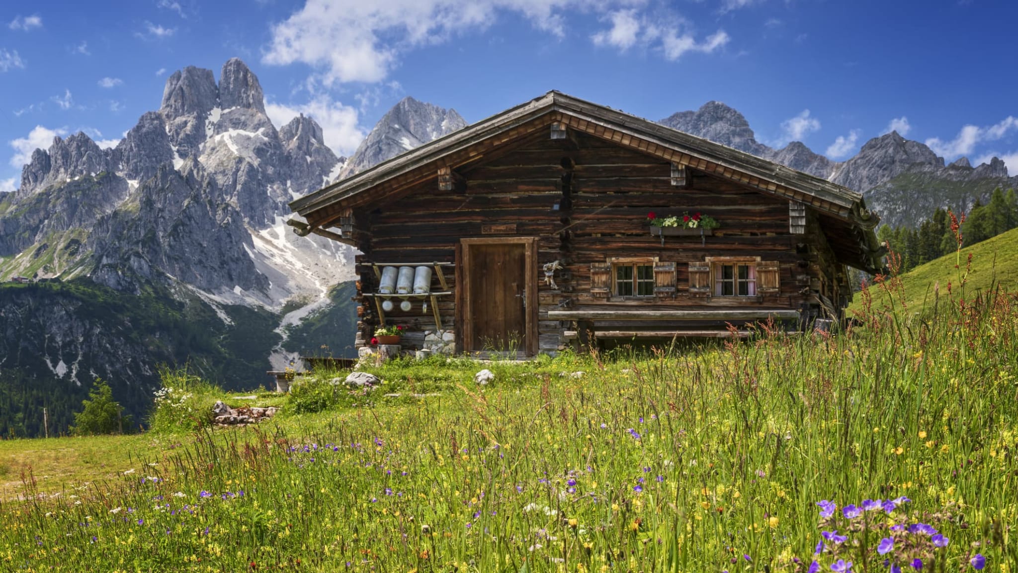 Eine Berghütte vor einer blühenden Bergwiese mit dem Gosaukamm im Hintergrund, Österreich.