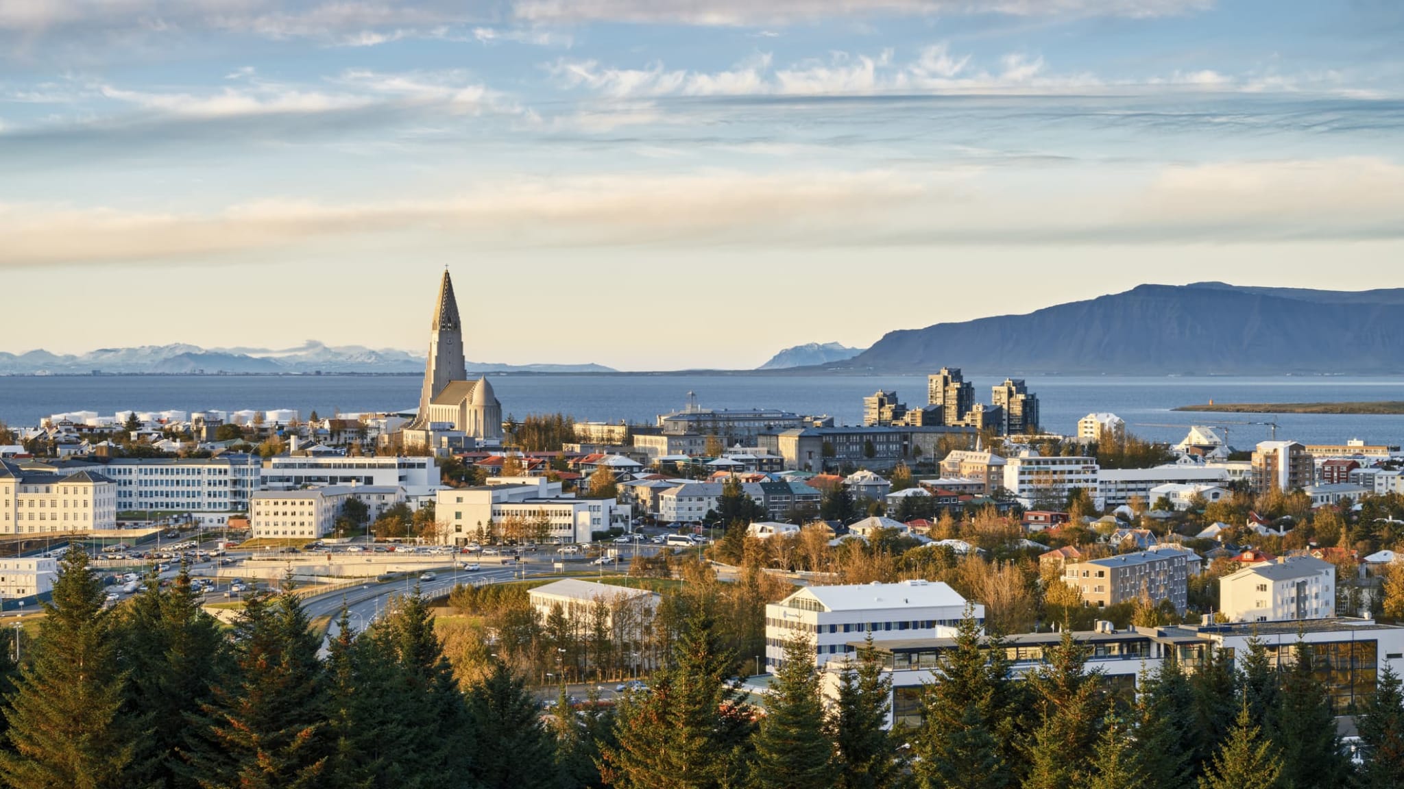 Die Skyline von Reykjavík.
