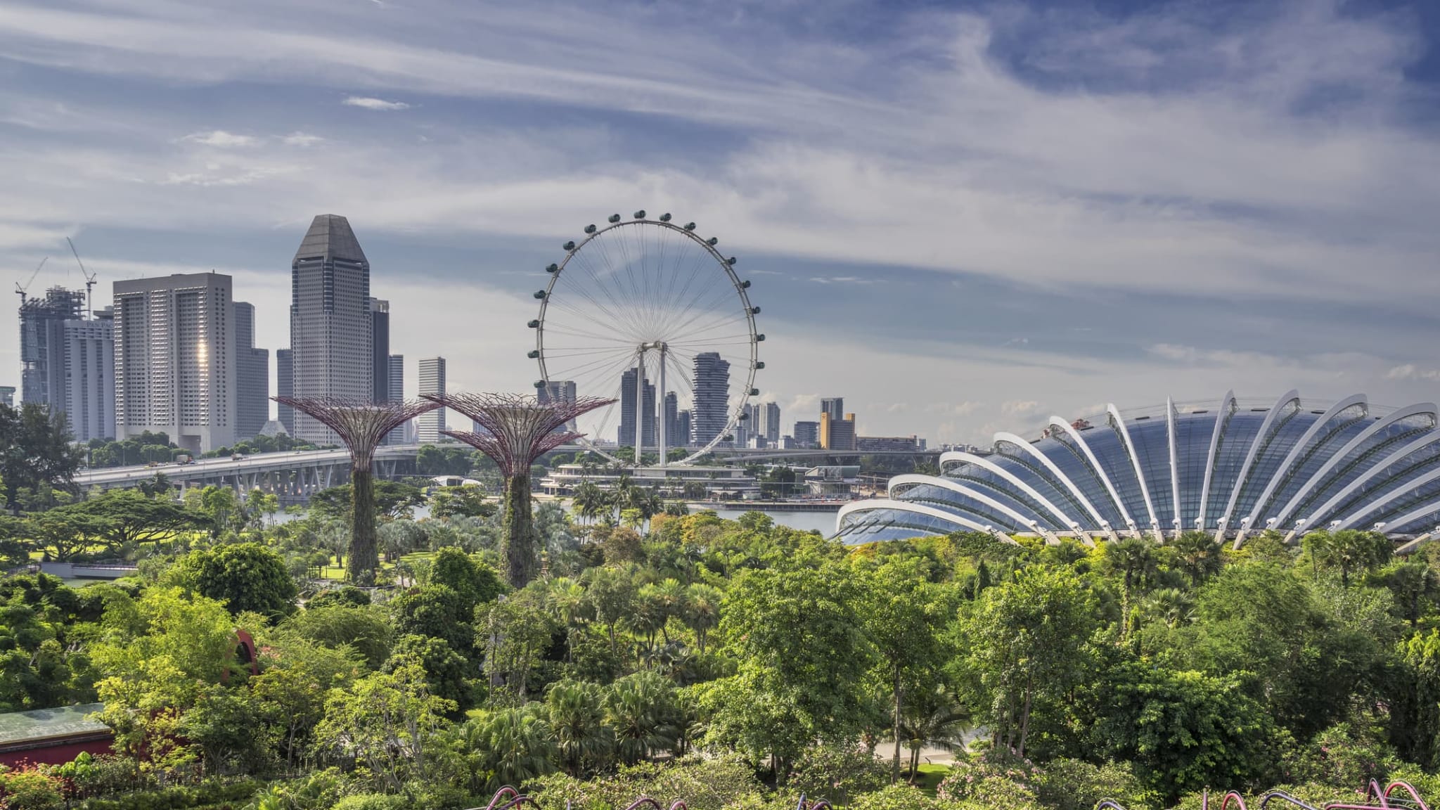 Blick auf den Gardens by the Bay und der Singapur Skyline.