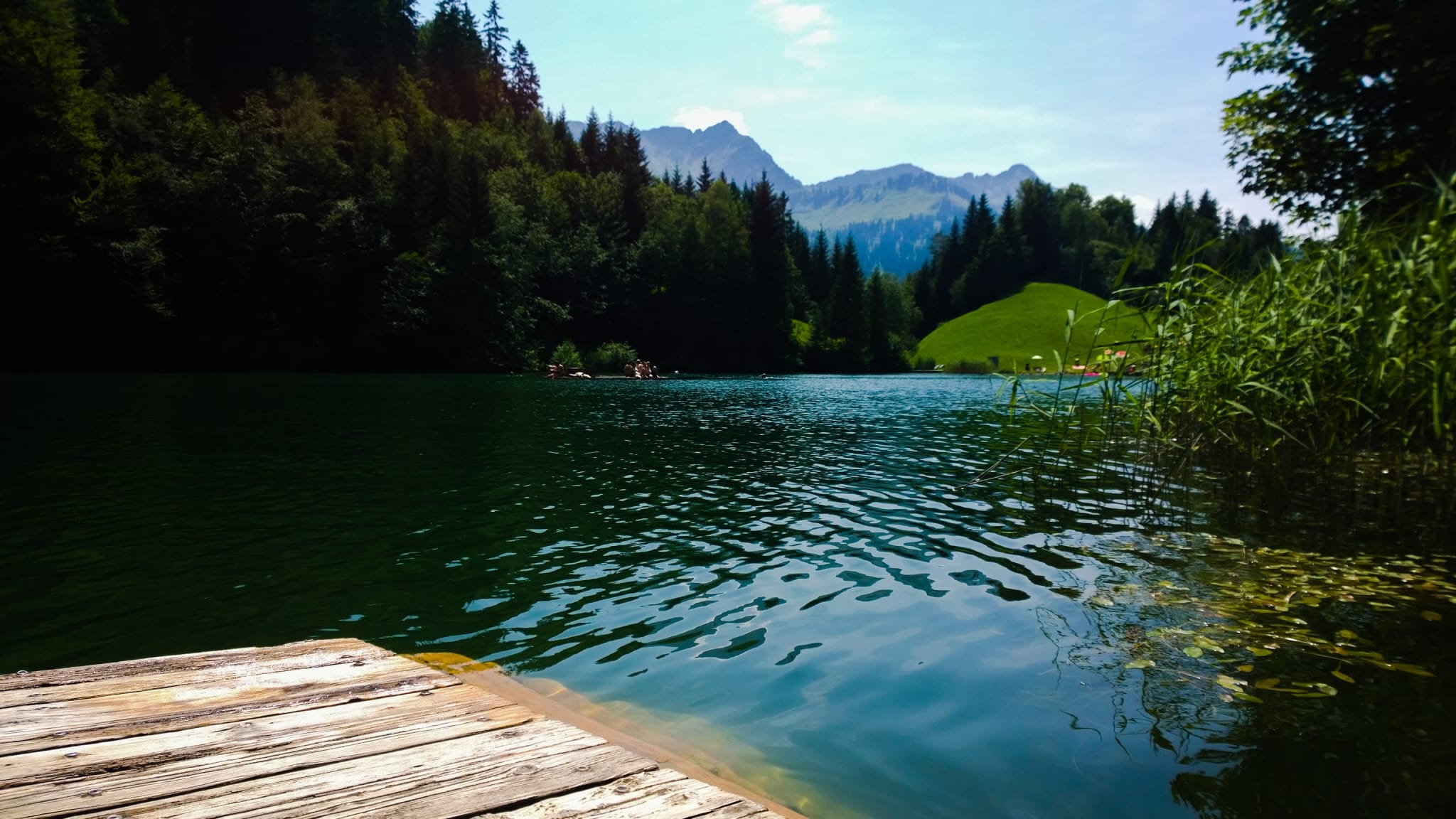 Blick vom einem Floß auf den Seewaldsee in Österreich.