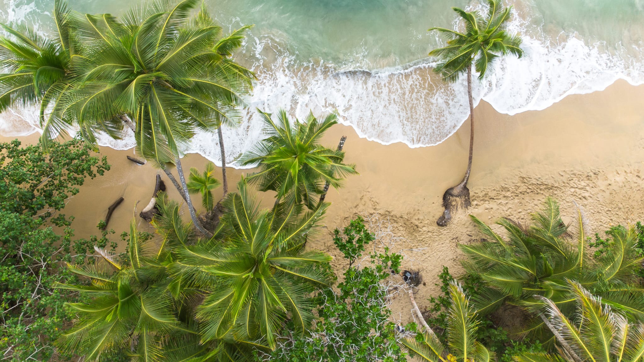 Blick auf den Strand in Puerto Viejo, Costa Rica © Didier Marti/Moment via Getty Images