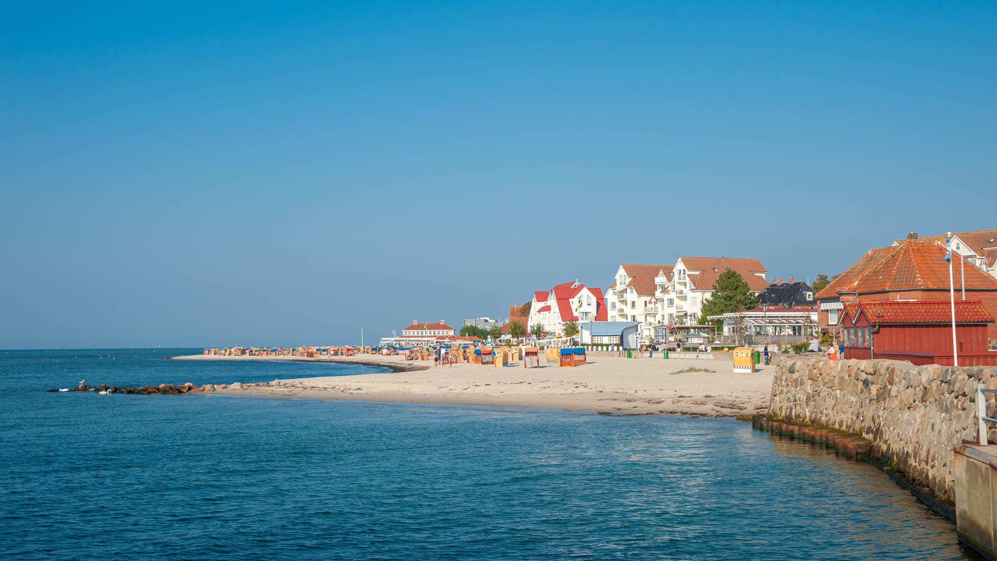 Ostsee mit Hund: Diese Strände lohnen sich besonders