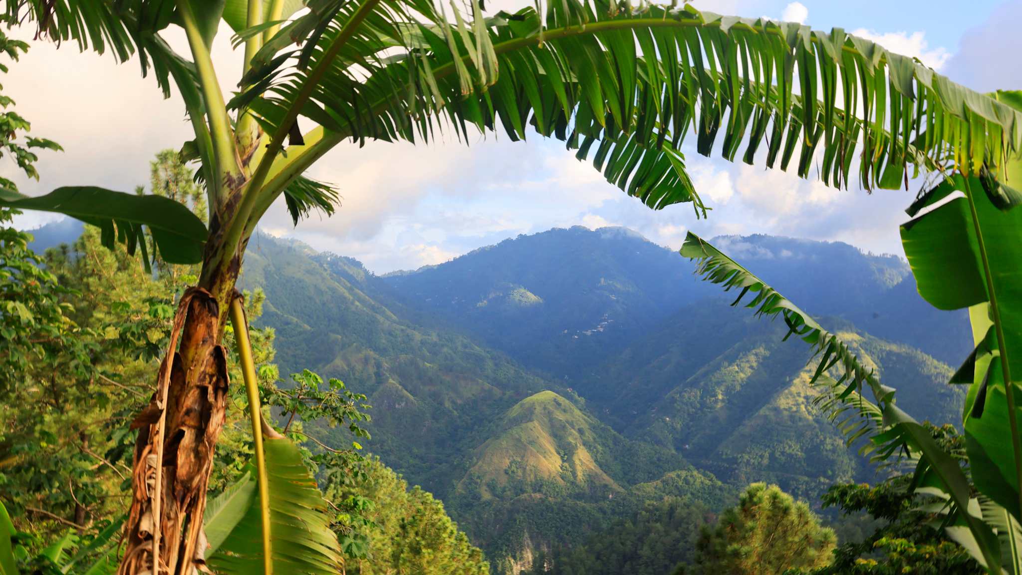 Blick auf eine bewaldete Bergkette.