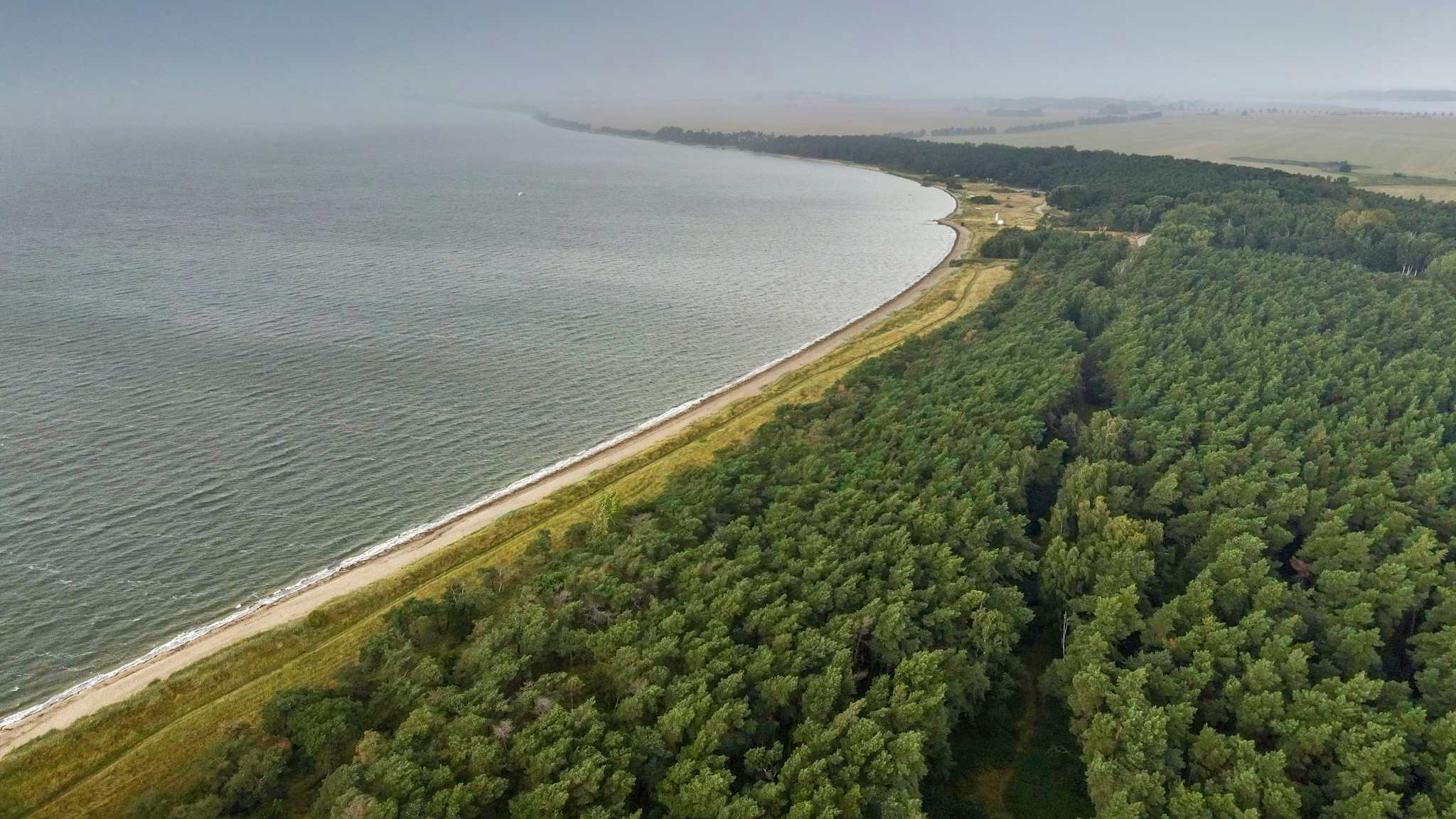 Luftansicht eines langen Strandes. Dahinter steht ein großer Wald, der sich im Wind biegt. Der Himmel ist bewölkt.