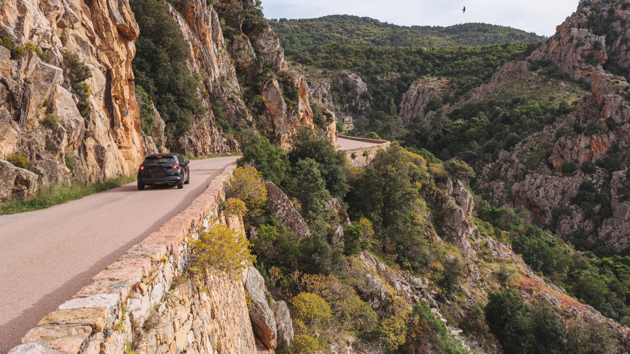 Ein Auto fährt auf einer Straße durch die Berge Korsikas, Frankreich.