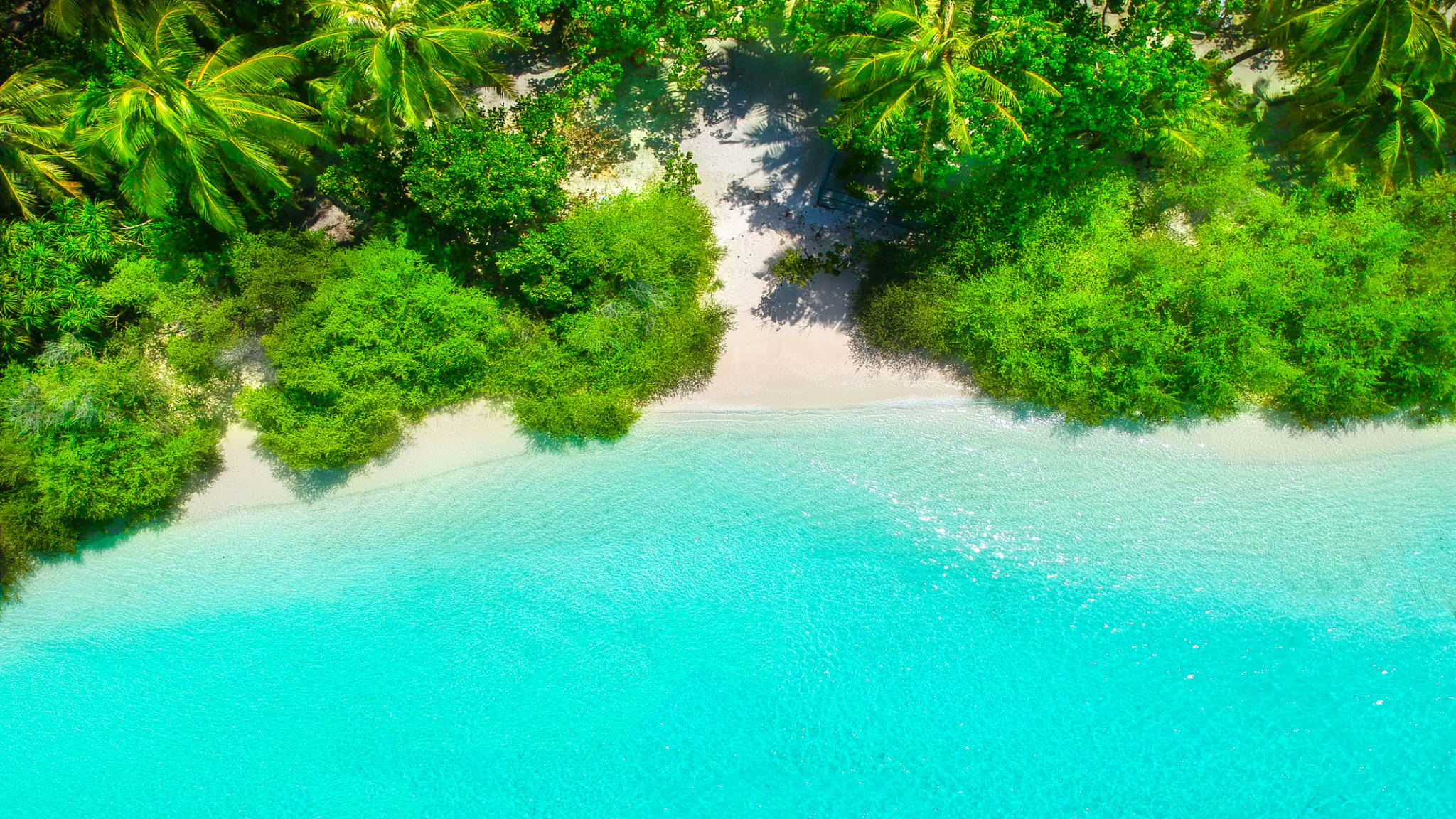 Ein Strand mit grünen Pflanzen bewachsen.