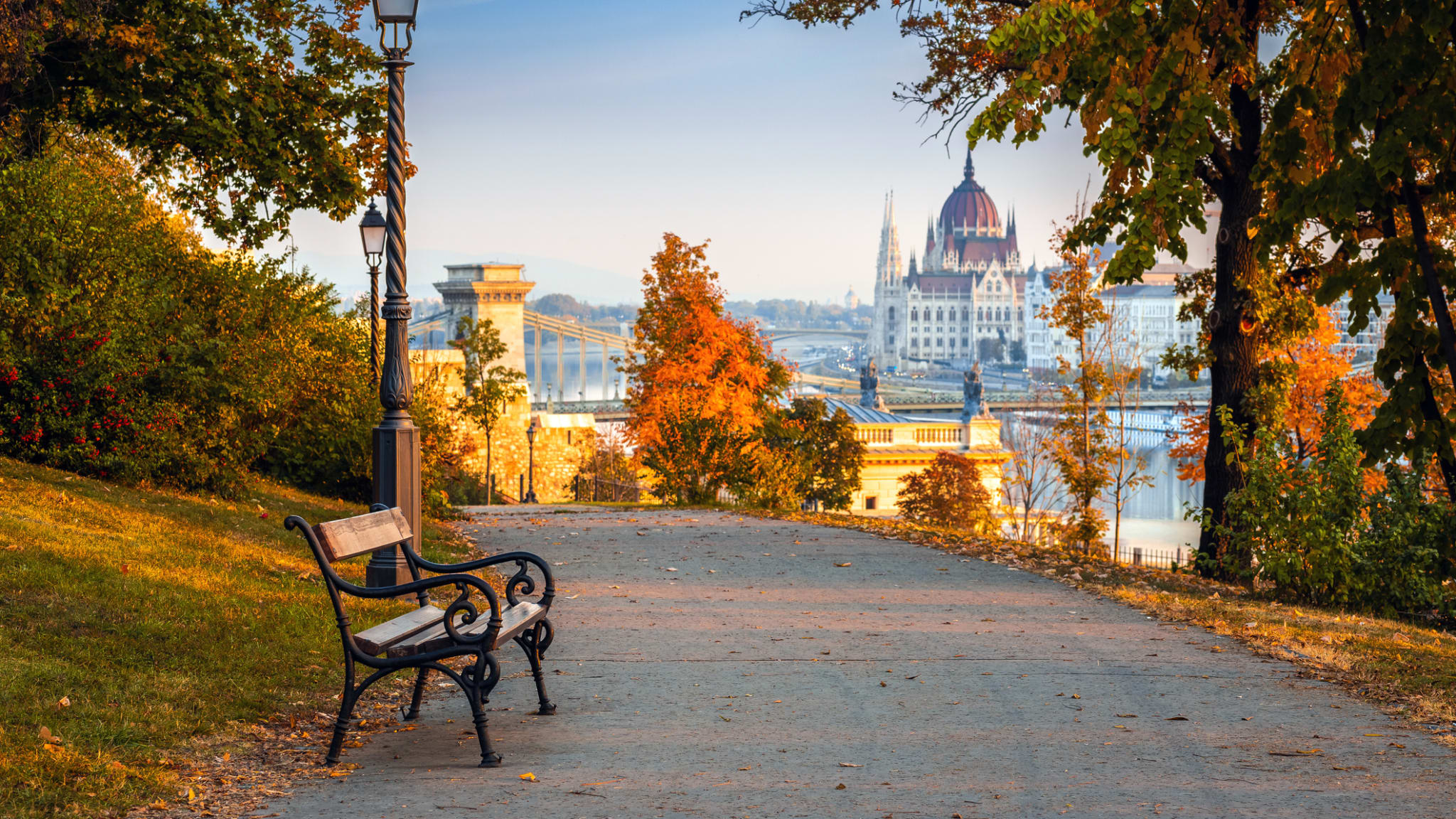Eine Bank in einem herbstlichen Park mit Blick auf das Parlament in Budapest, Ungarn.