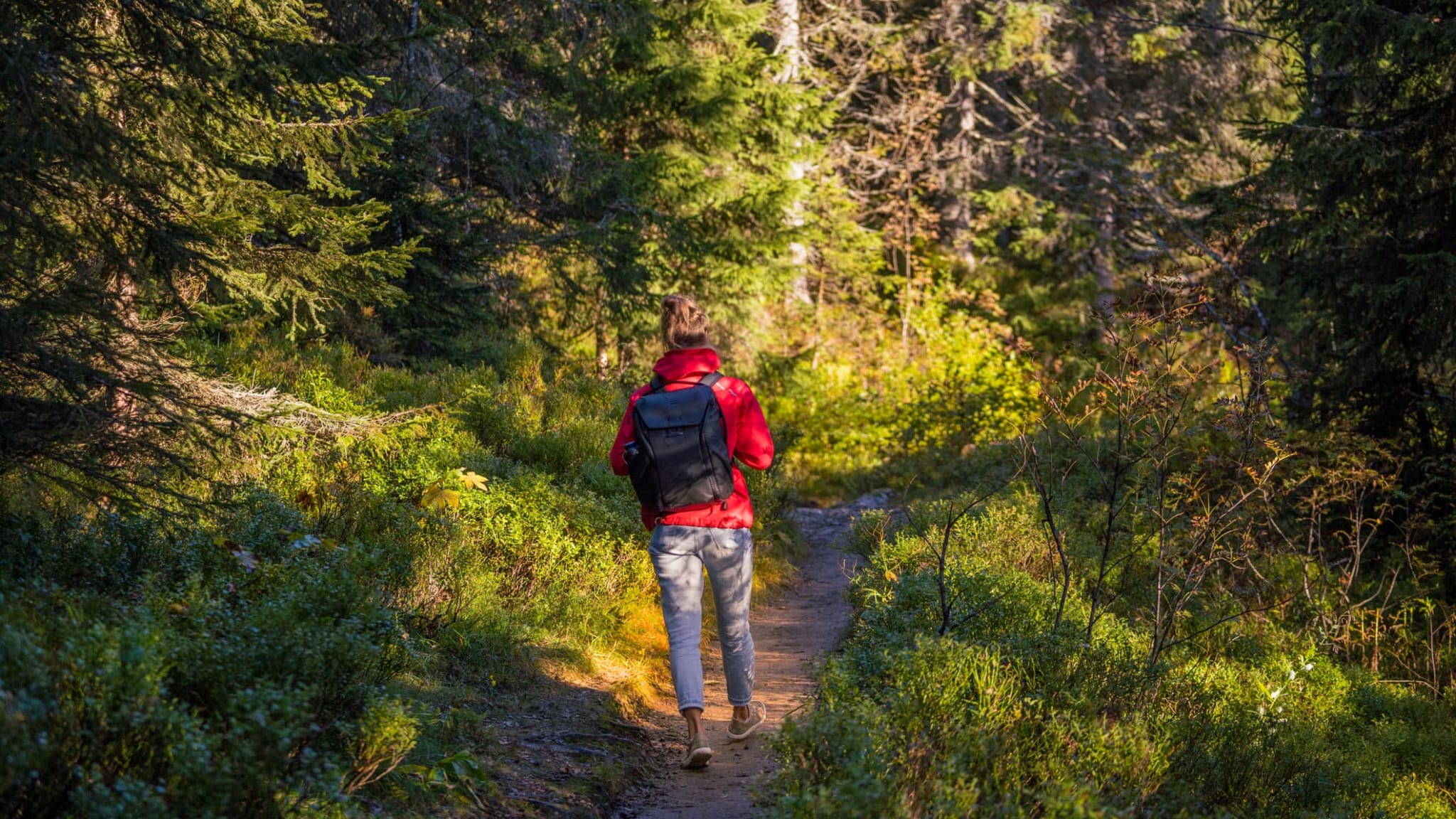 Eine Frau wandert auf einem schmalen Pfad im Schwarzwald.