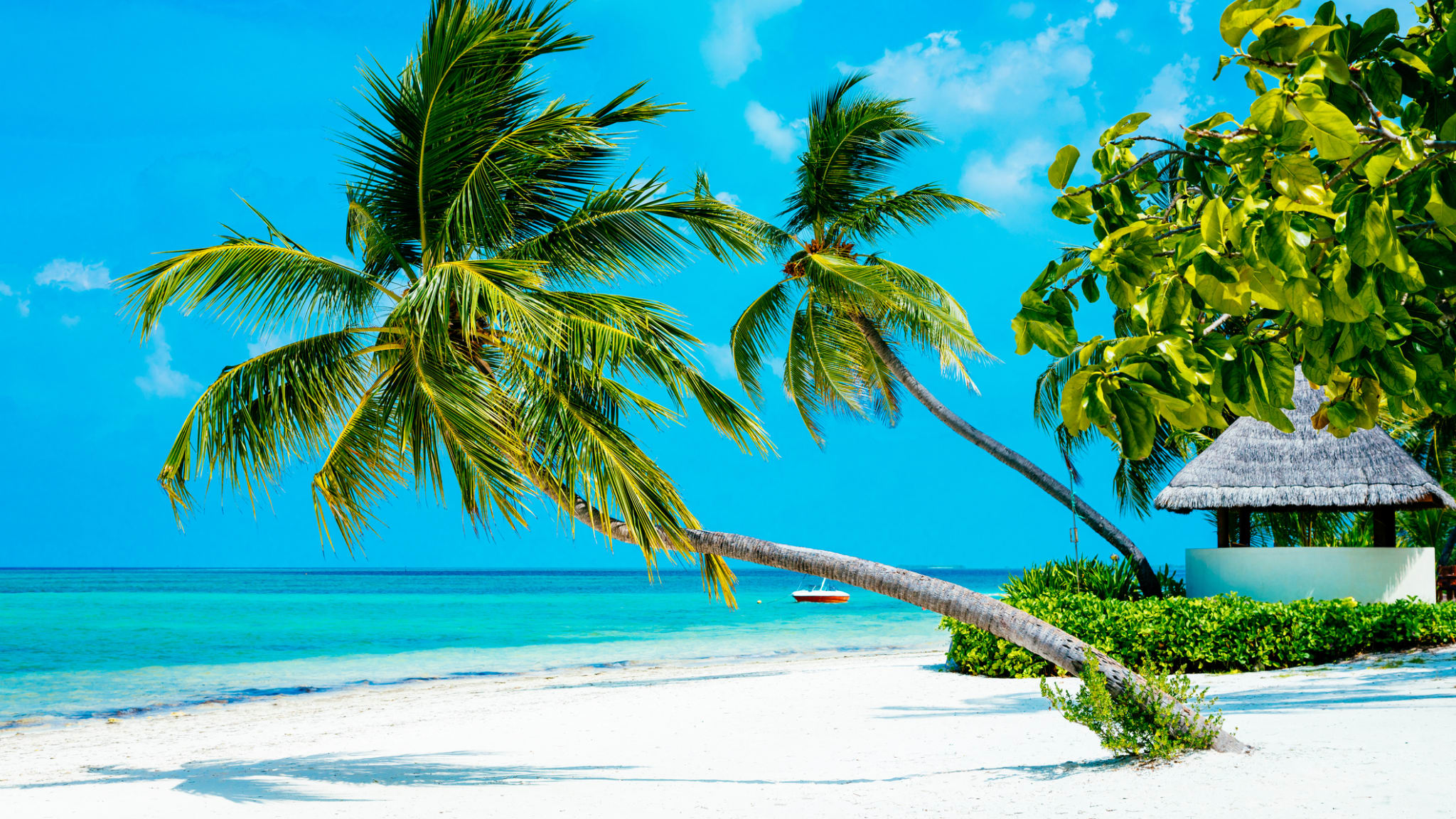 Eine Hütte und Palmen an einem Strand, Malediven.