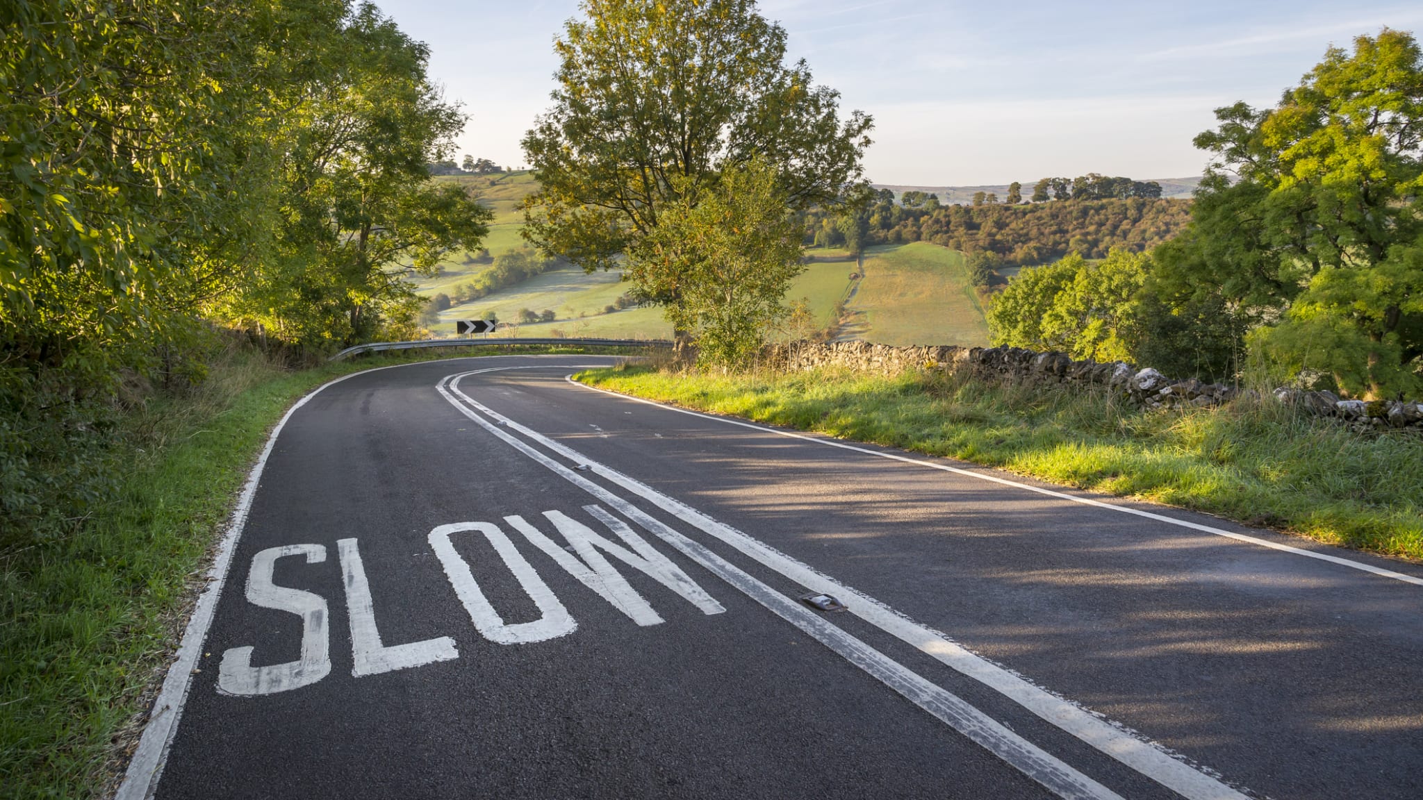 Eine kurvige Straße mitten durch die Natur.