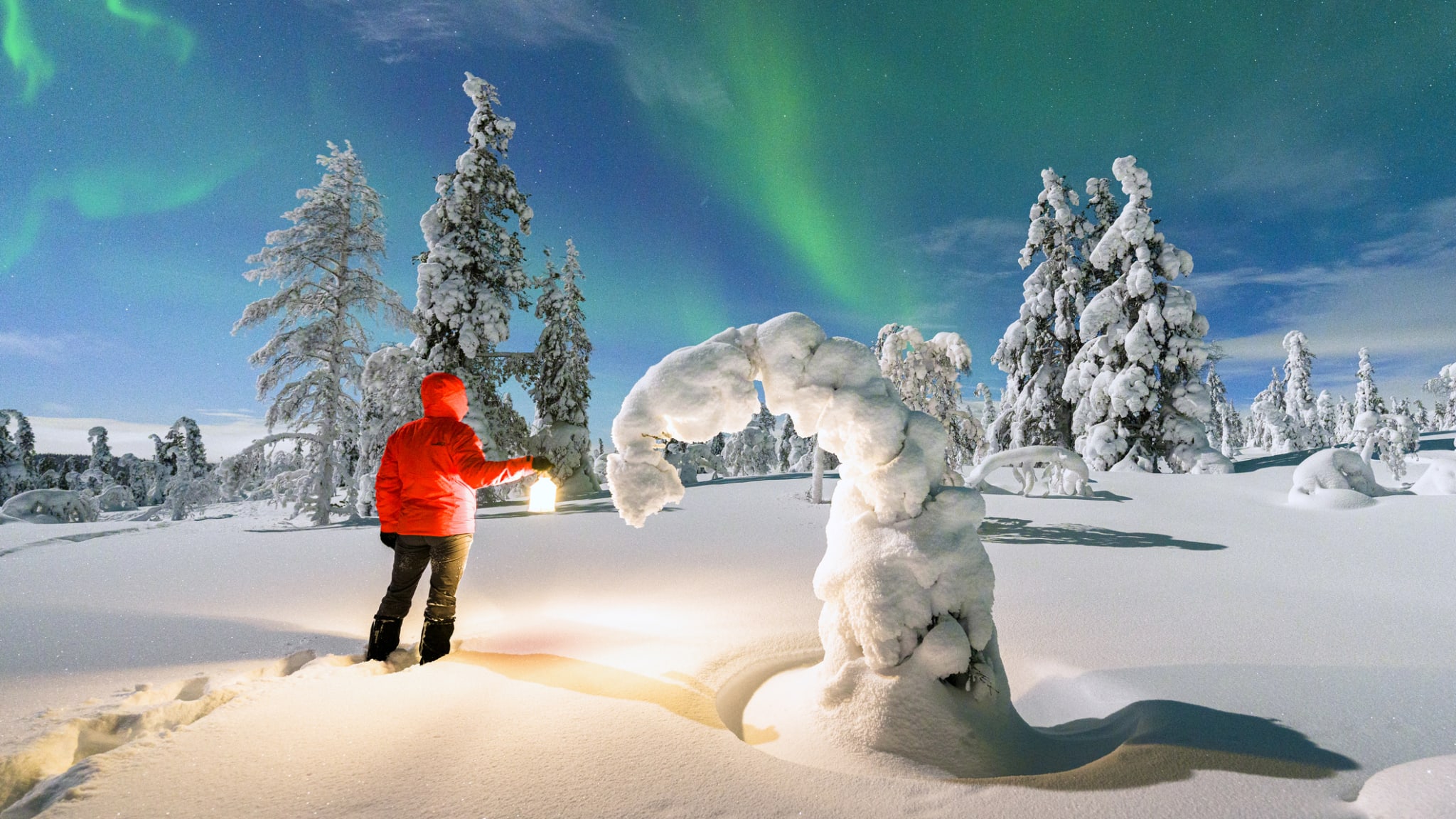 Eine Person zwischen verschneiten Bäumen mit den Nordlichtern am Himmel.
