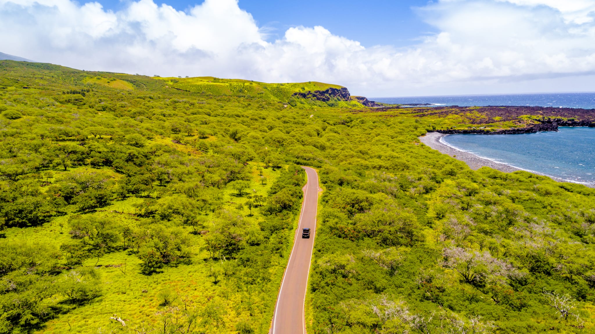 Eine Straße durch einen Wald an der Küste auf Hawaii.