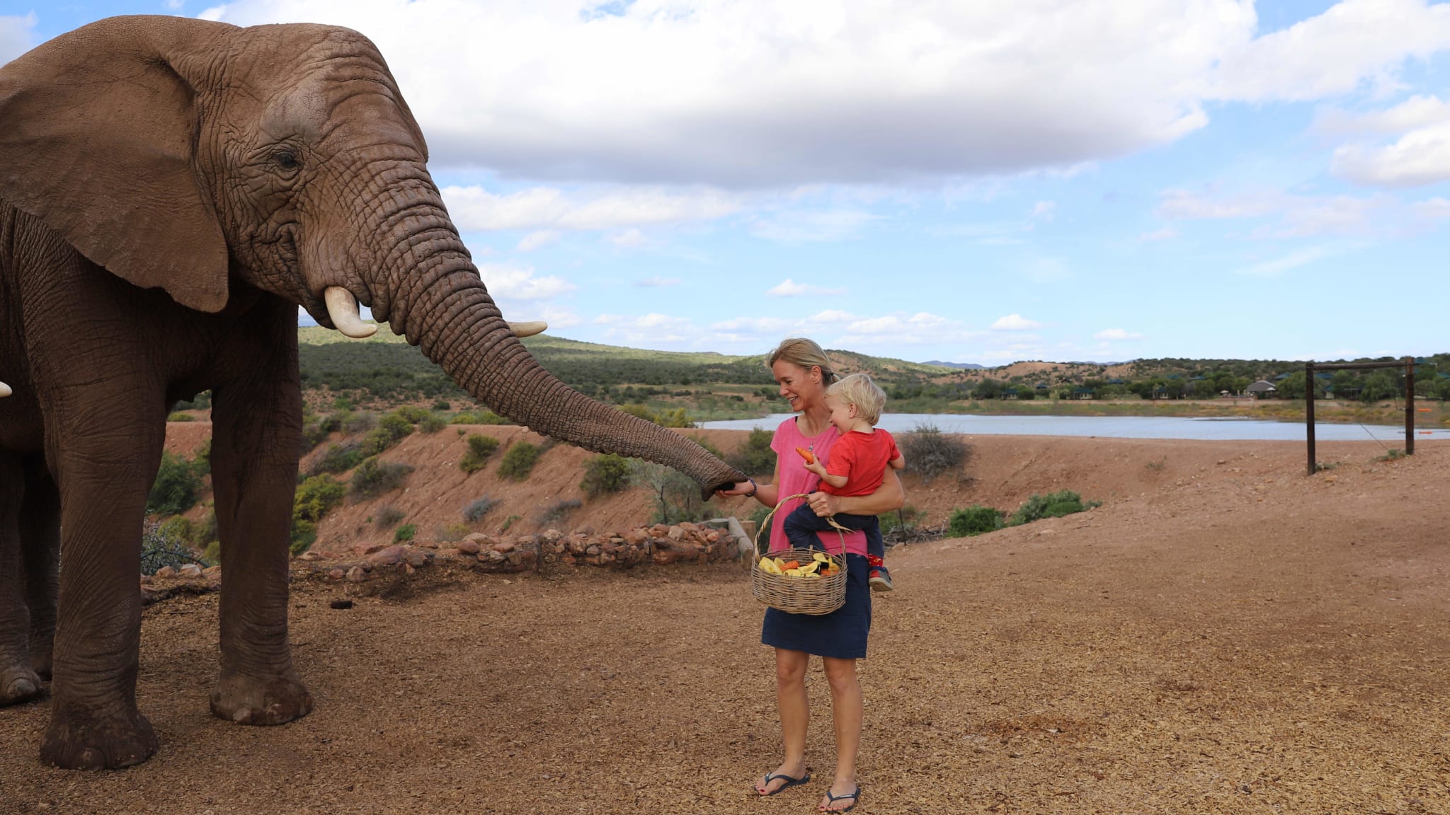 Eine Frau füttert mit ihrem Kind auf dem Arm einen Elefanten in Südafrika.