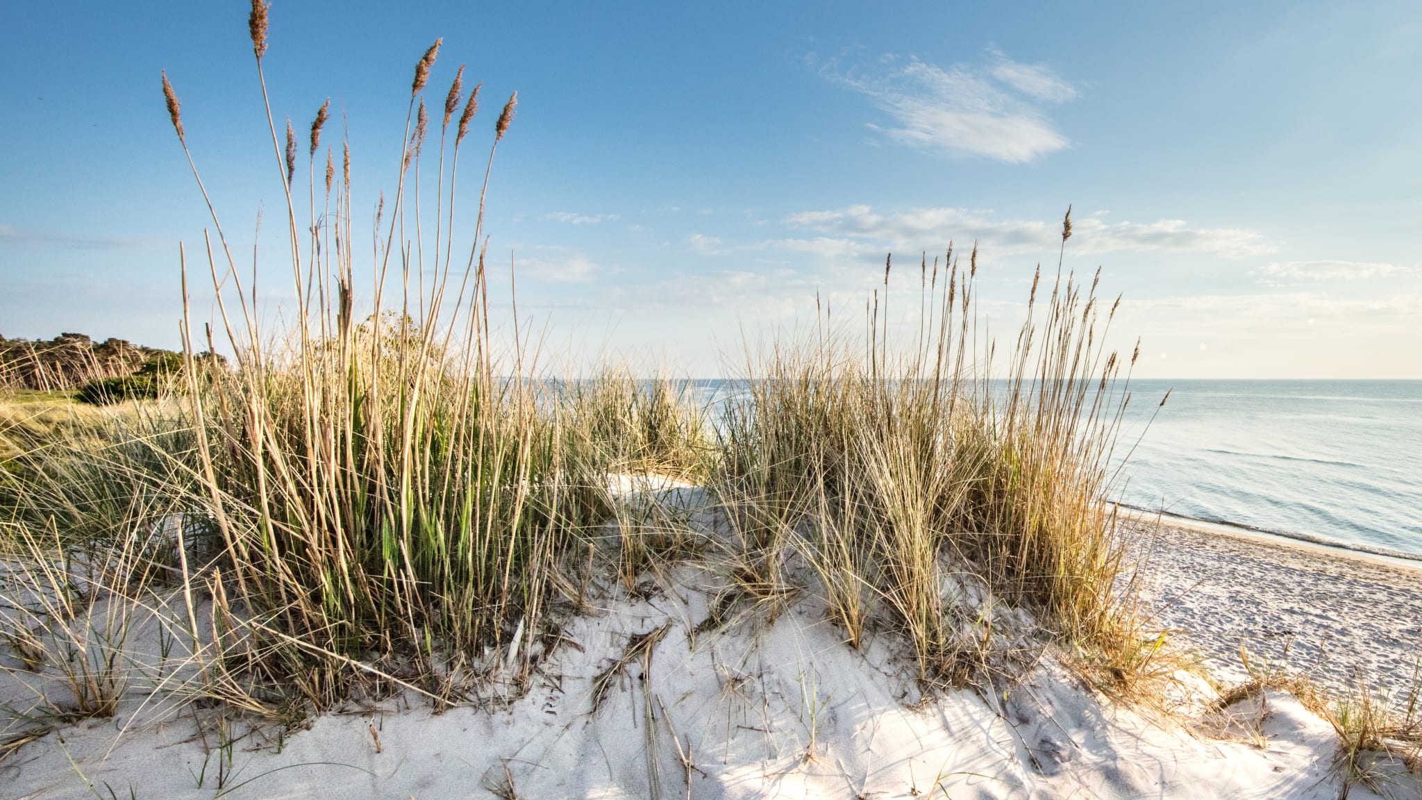 FKK-Strände an Deutschlands OSt- und Nordsee © Adobestock/haiderose