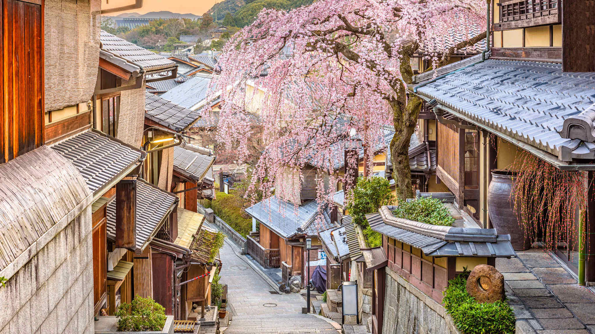 Japanische Gassen in Kyoto, Japan.