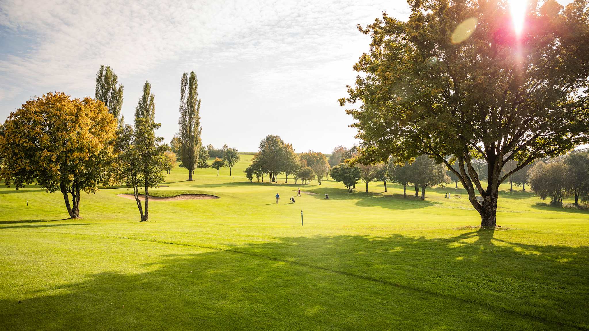 Die Sonne scheint durch einen Baum auf einem Golfplatz