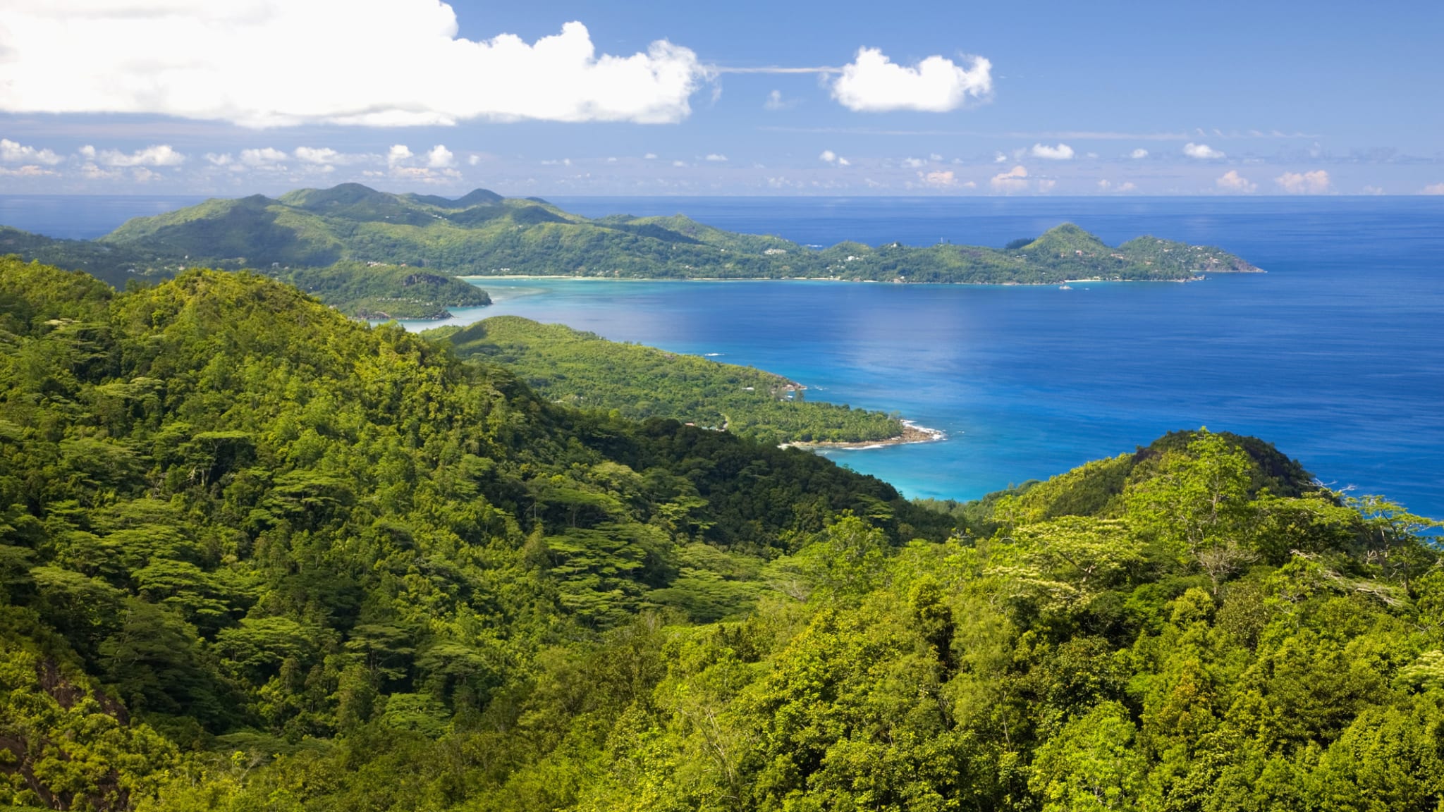 Grüne Berge am Meer auf Mahé, Seychellen
