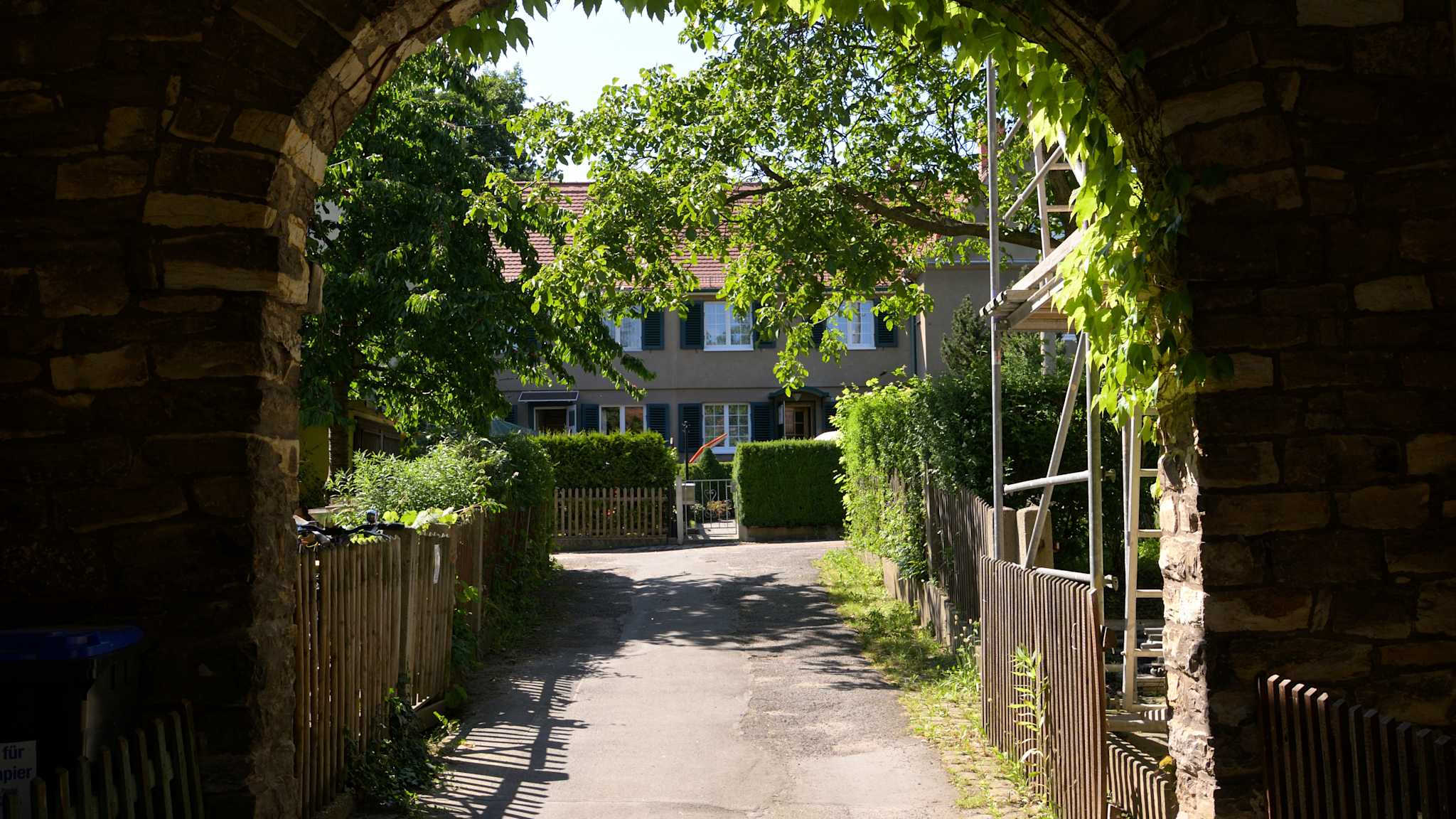 Blick durch ein bewachsenes Tor auf eine Straße.