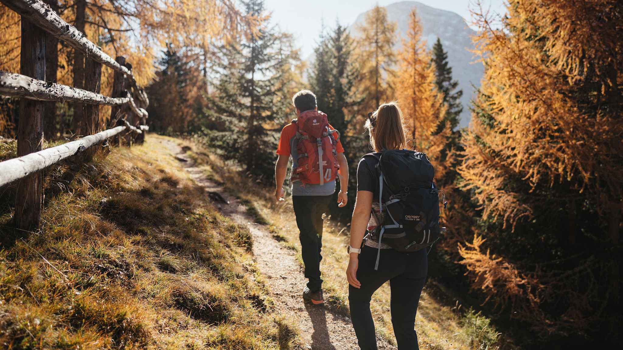 Zwei Personen mit Rucksäcken gehen auf einem schmalen Waldweg durch herbstlich gefärbte Bäume
