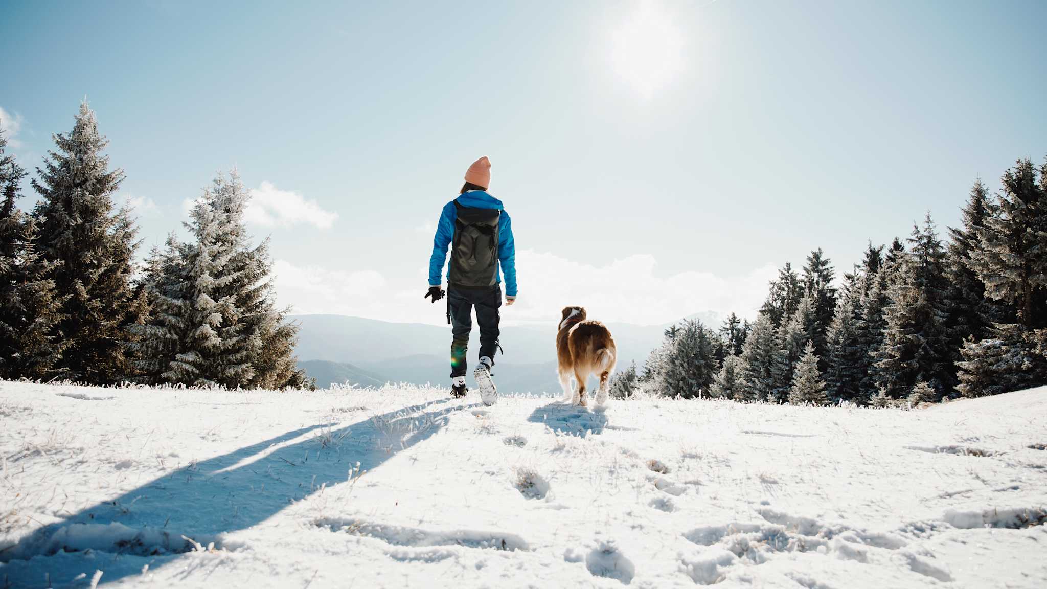 Eine Frau wandert mit ihrem Hund in einer verschneiten Landschaft.