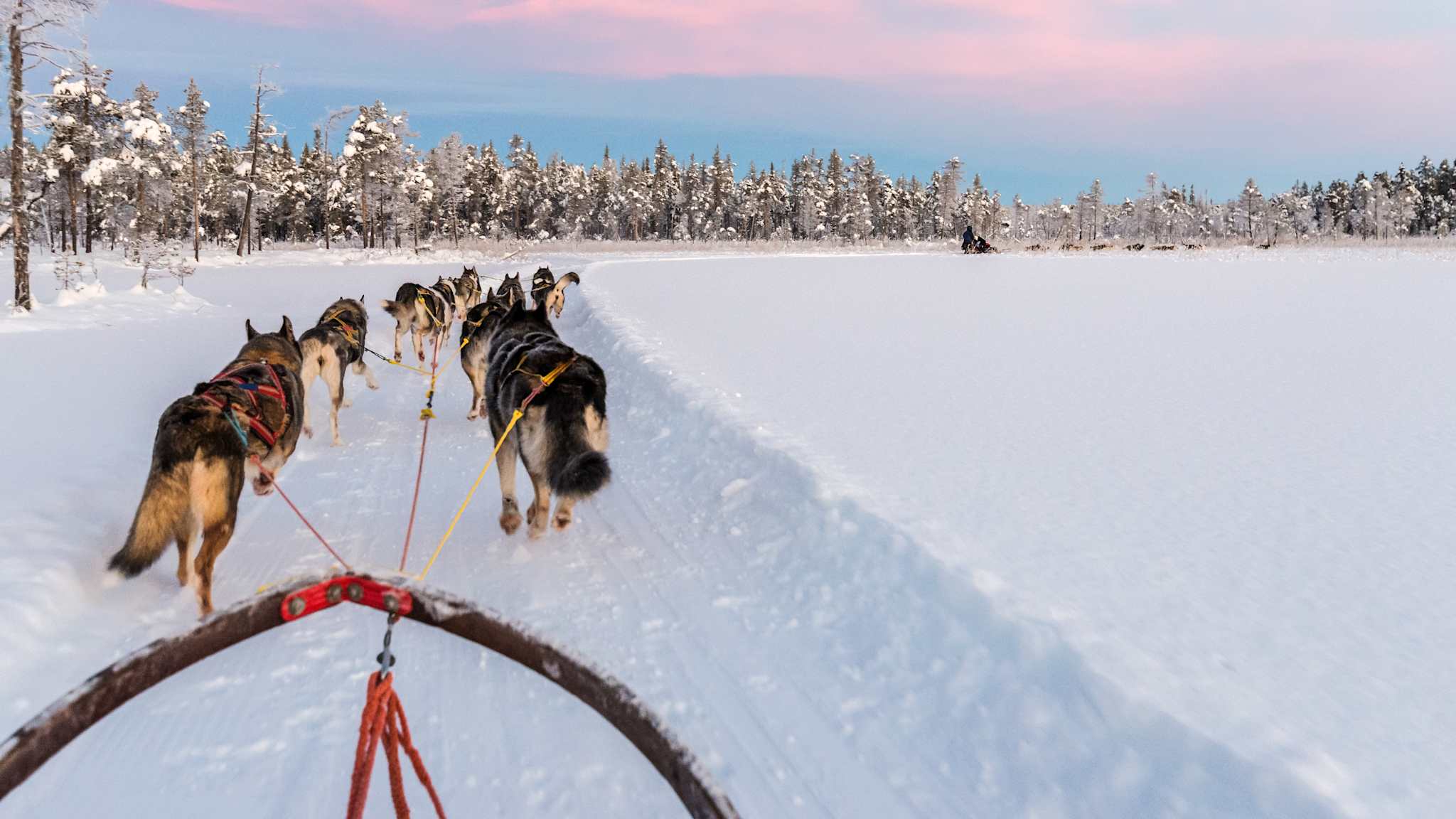 Ein Huskyschlitten fährt durch eine verschneite Landschaft