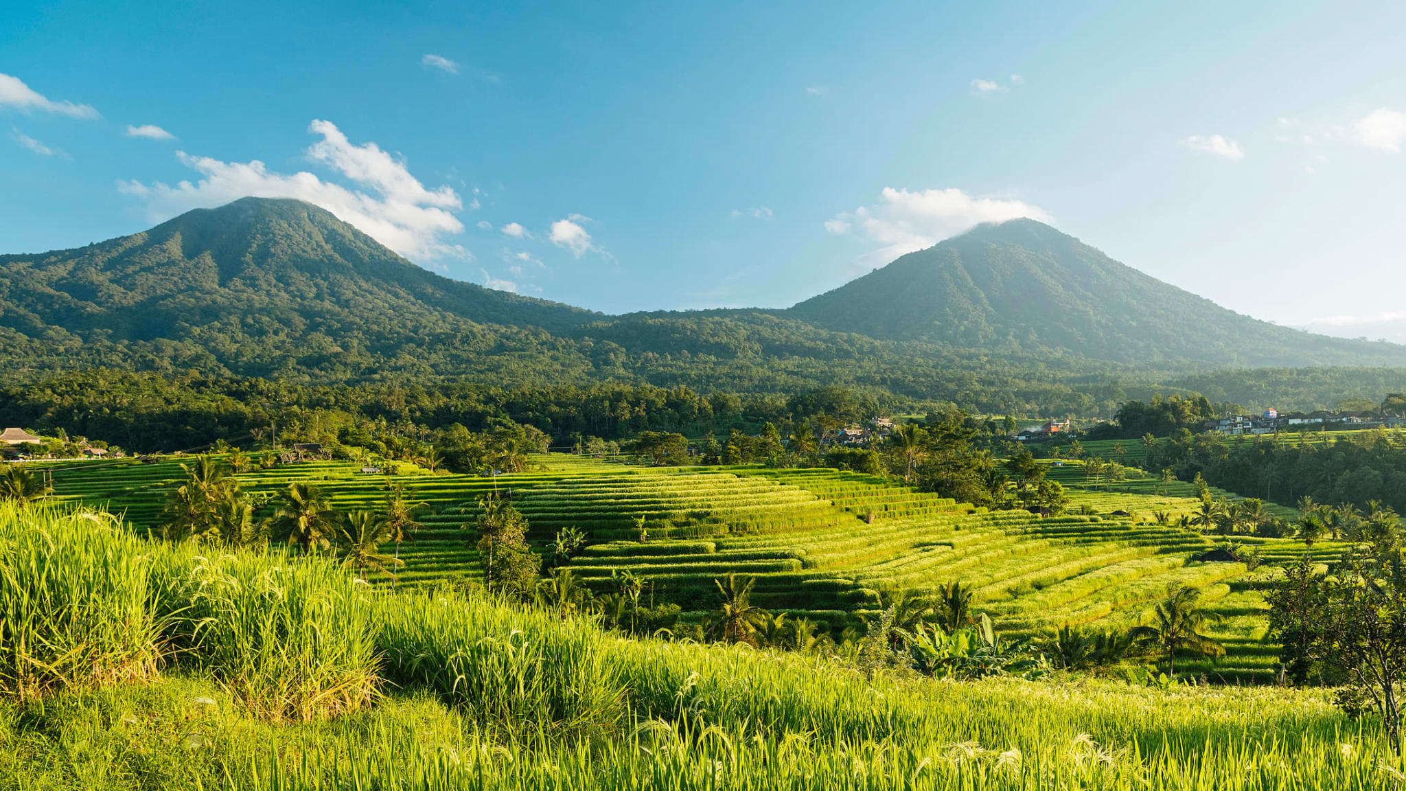 Jatiluwih Reisterrassen, Tabanan, Bali, Indonesien