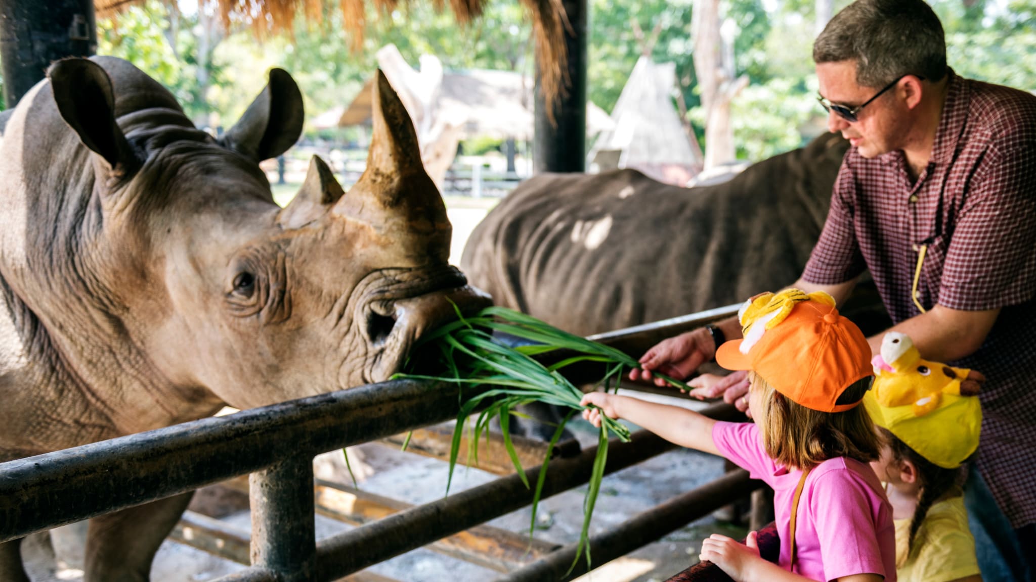 Im Zoo könnt ihr zahlreiche Tiere entdecken © Rawpixel.com - stock.adobe.com