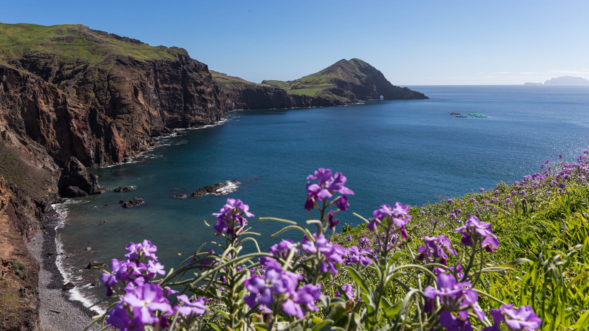 Klippen an der Küste von Madeira, Portugal.