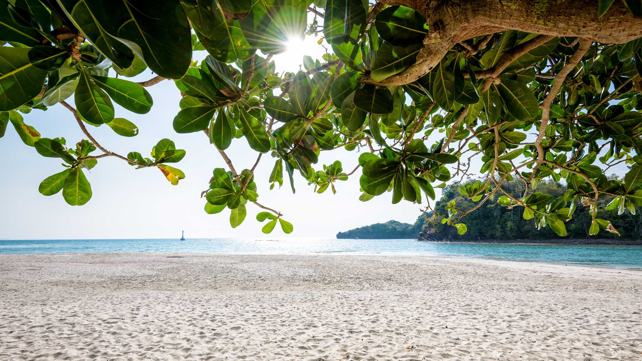 Blick durch die Blätter eines Katappenbaumes auf eine Bucht und Sandstrand
