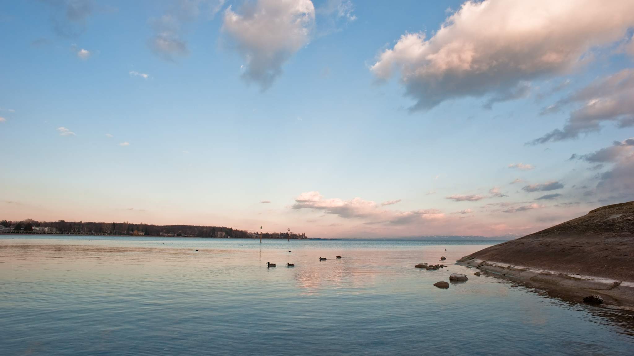 Eine leere Bucht mit Enten