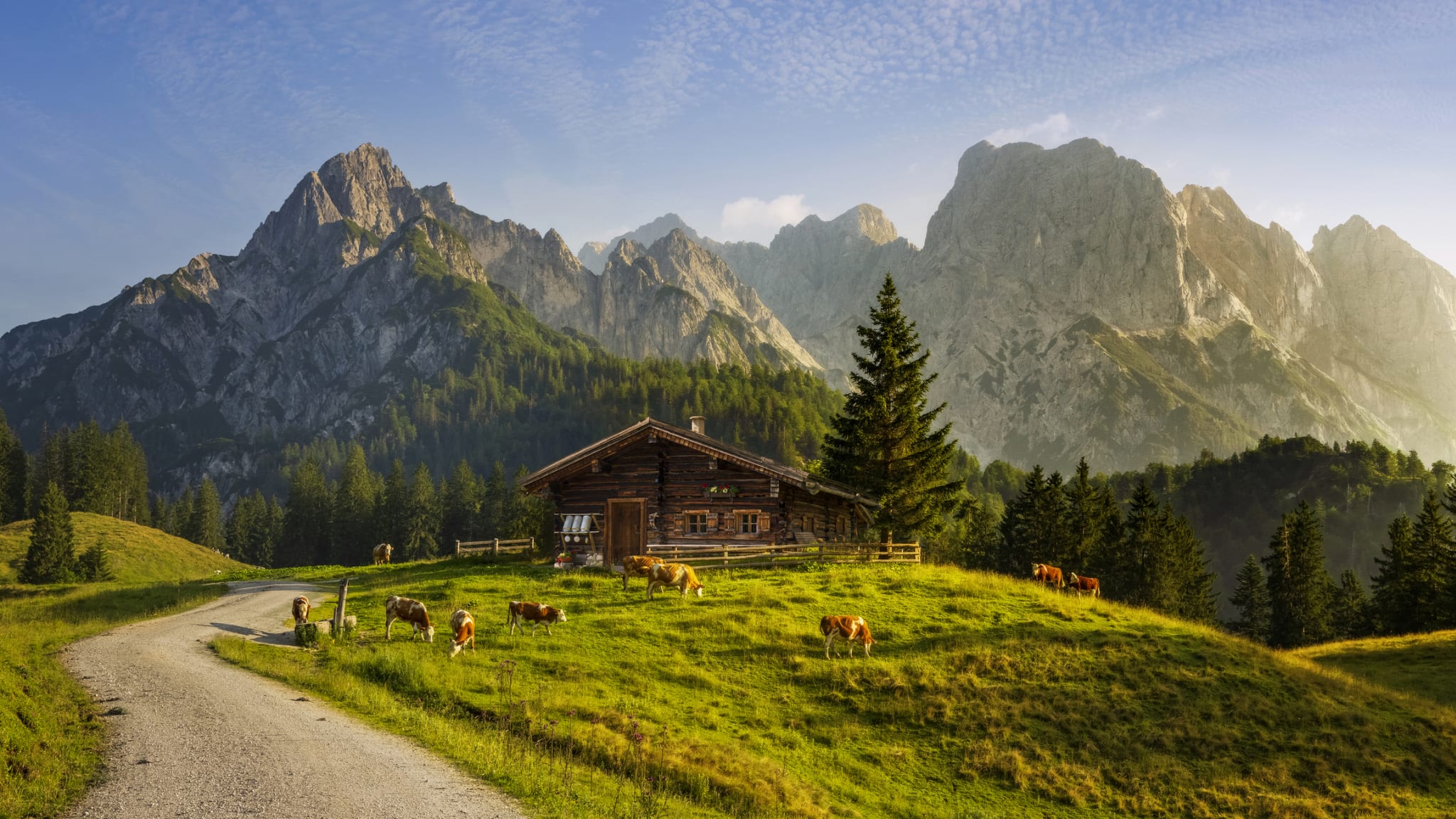 Kühe stehen auf einer Wiese vor einer Hütte und Bergen.
