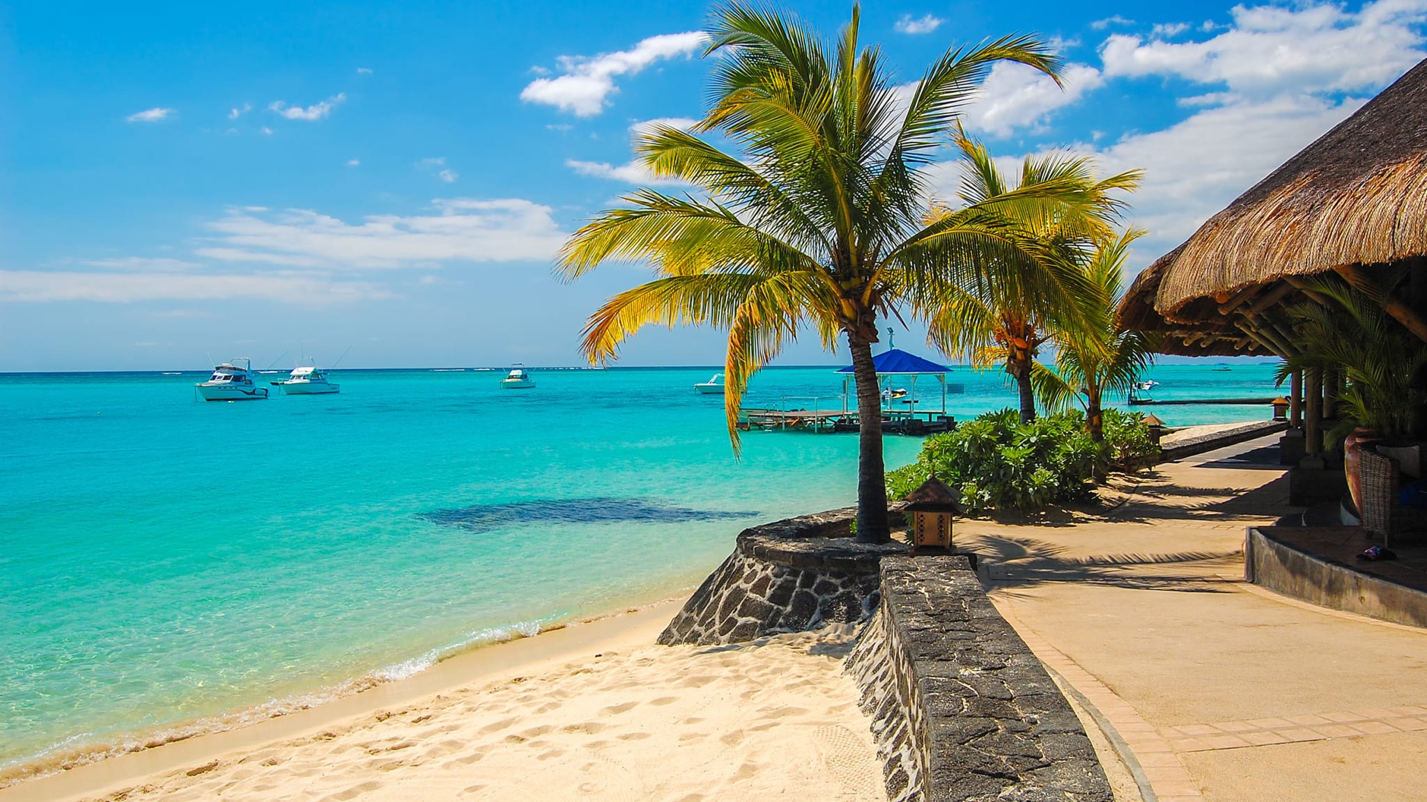 üste von Mauritius mit Promenade, Palme und Strand
