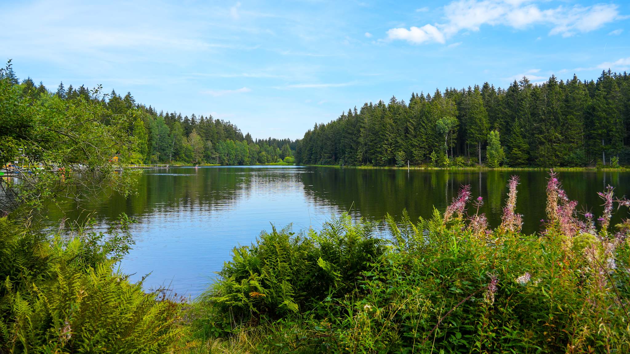 Ein See im Grünen