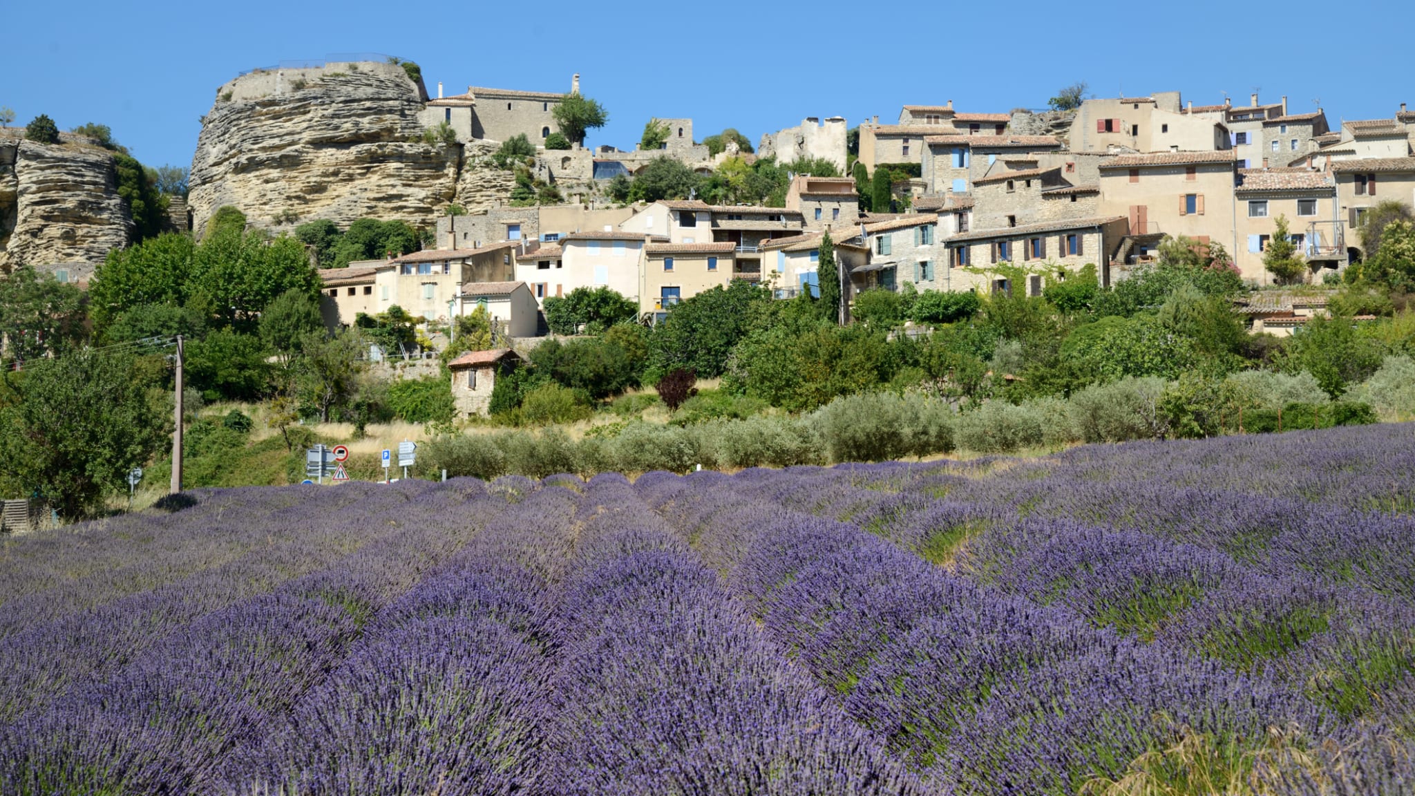 Lavendelfeld im Dorf Saignon, Luberon, Provence, Frankreich